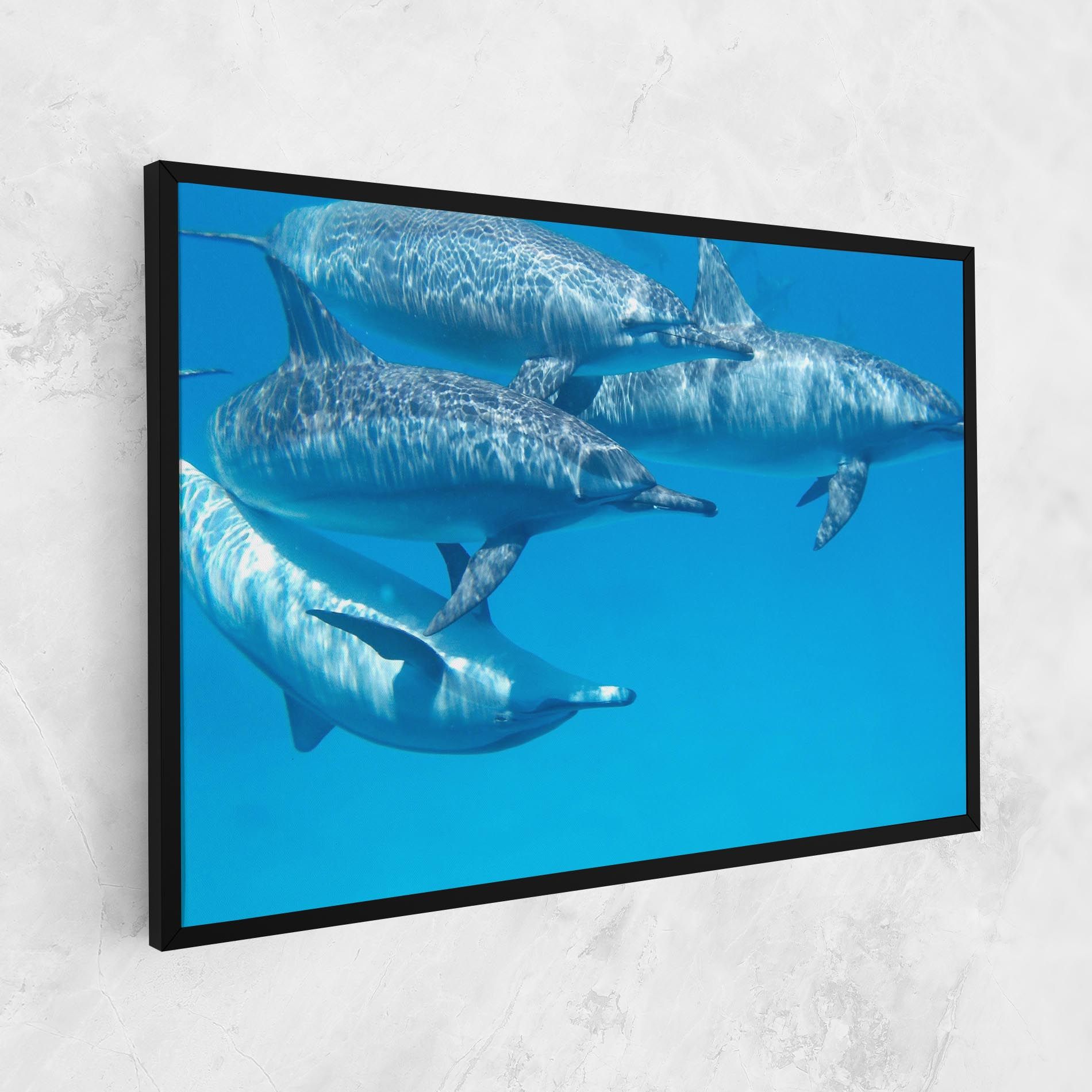 Family Of Dolphins mockup 1