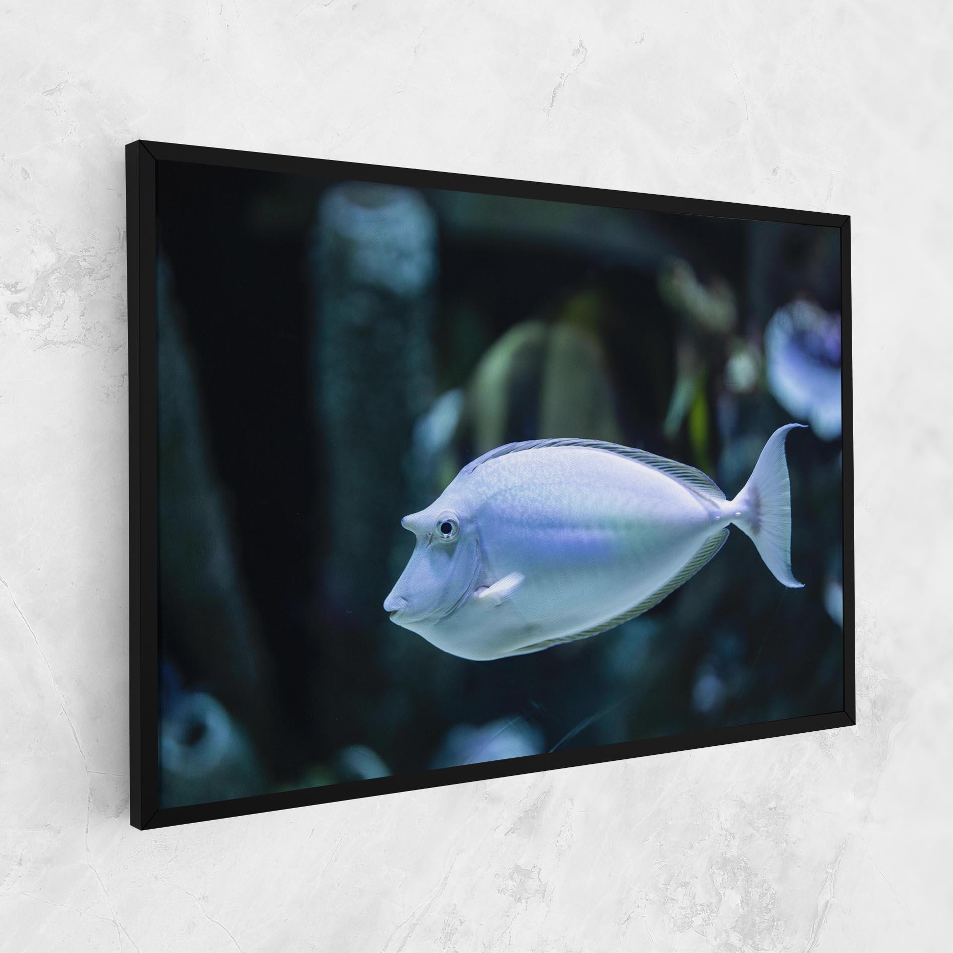 Leinwandbild Funny Face Fish mockup 1