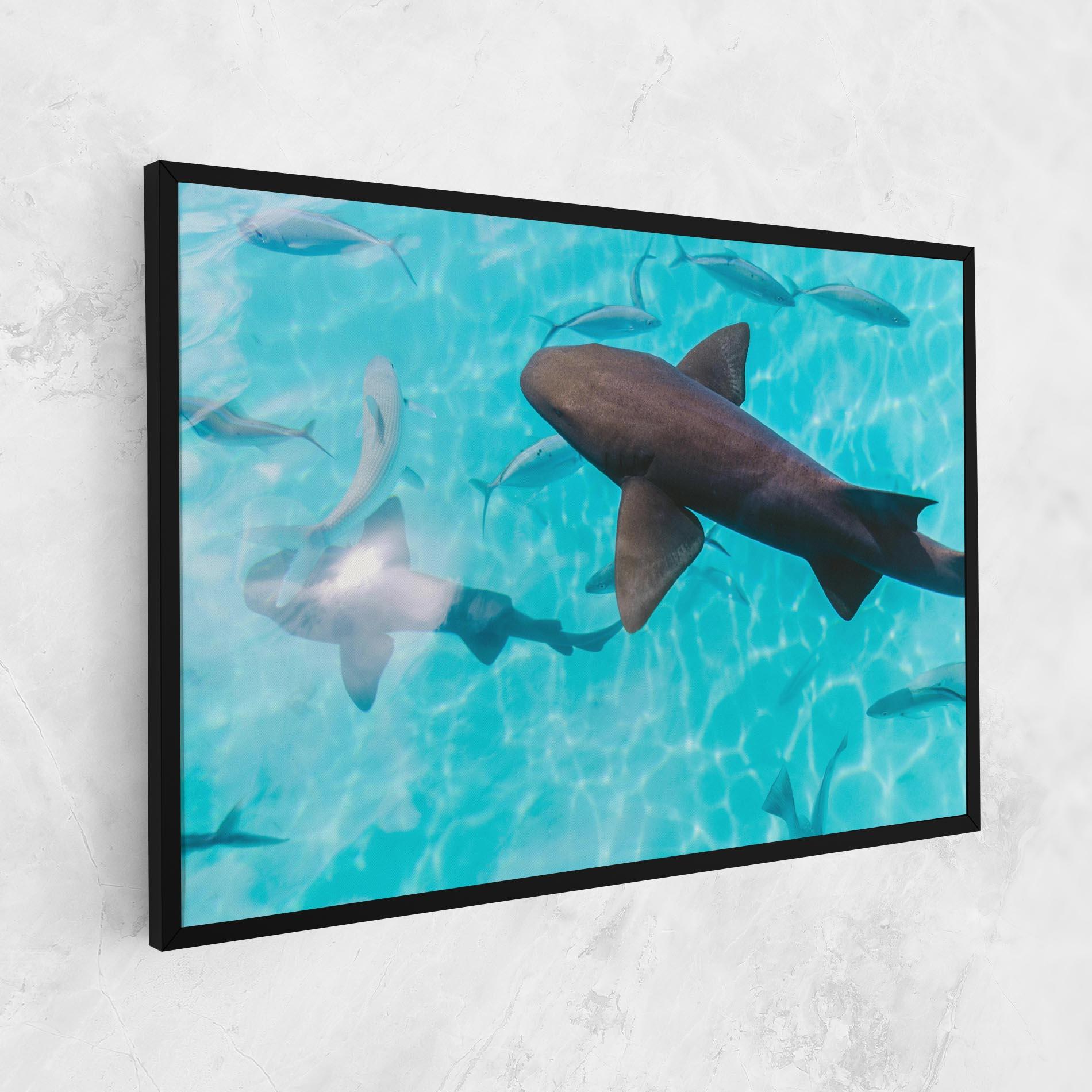 Leinwandbild Pretty Shark mockup 1
