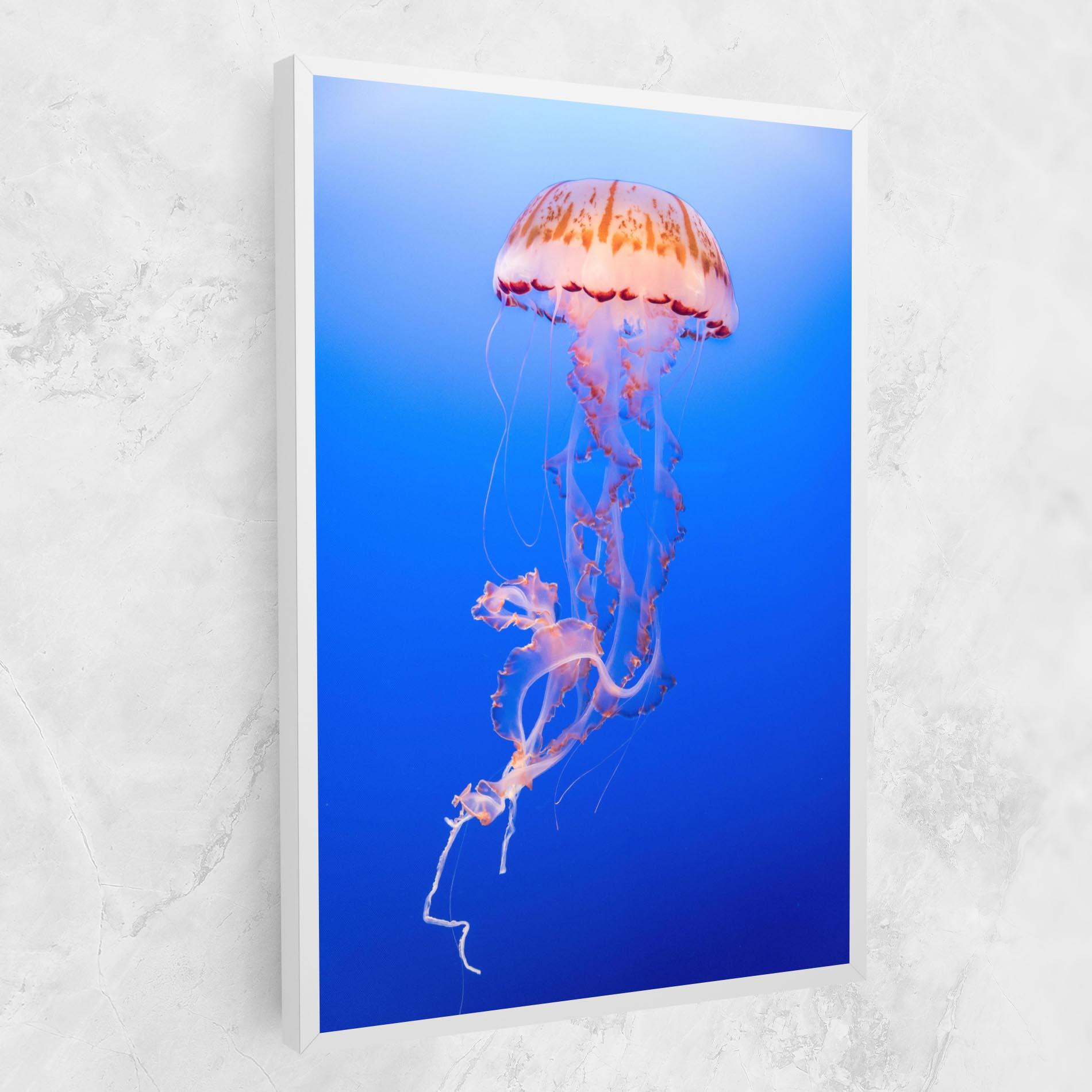 Leinwandbild Pretty White Jellyfish mockup 1