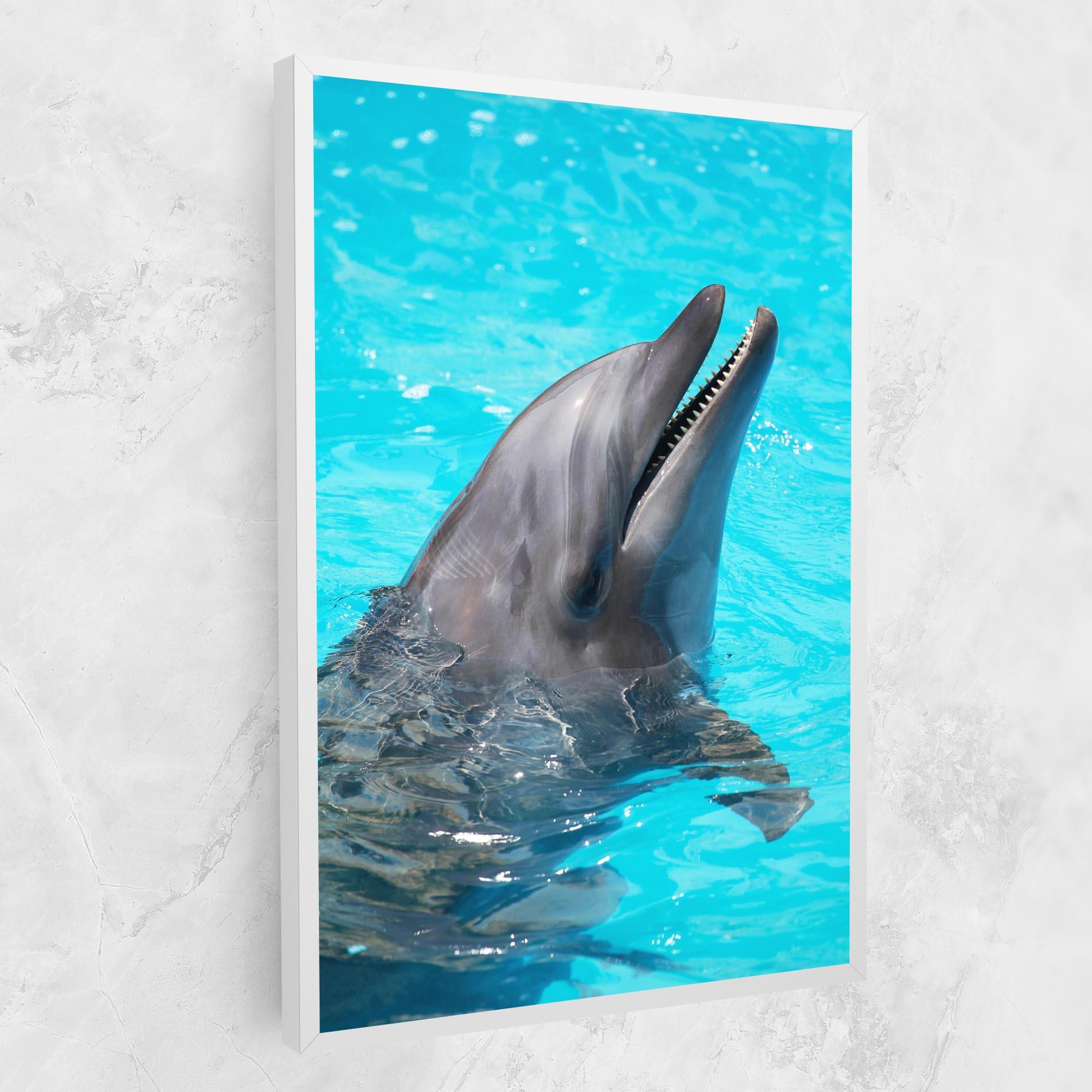 Leinwandbild Trained Dolphin mockup 1