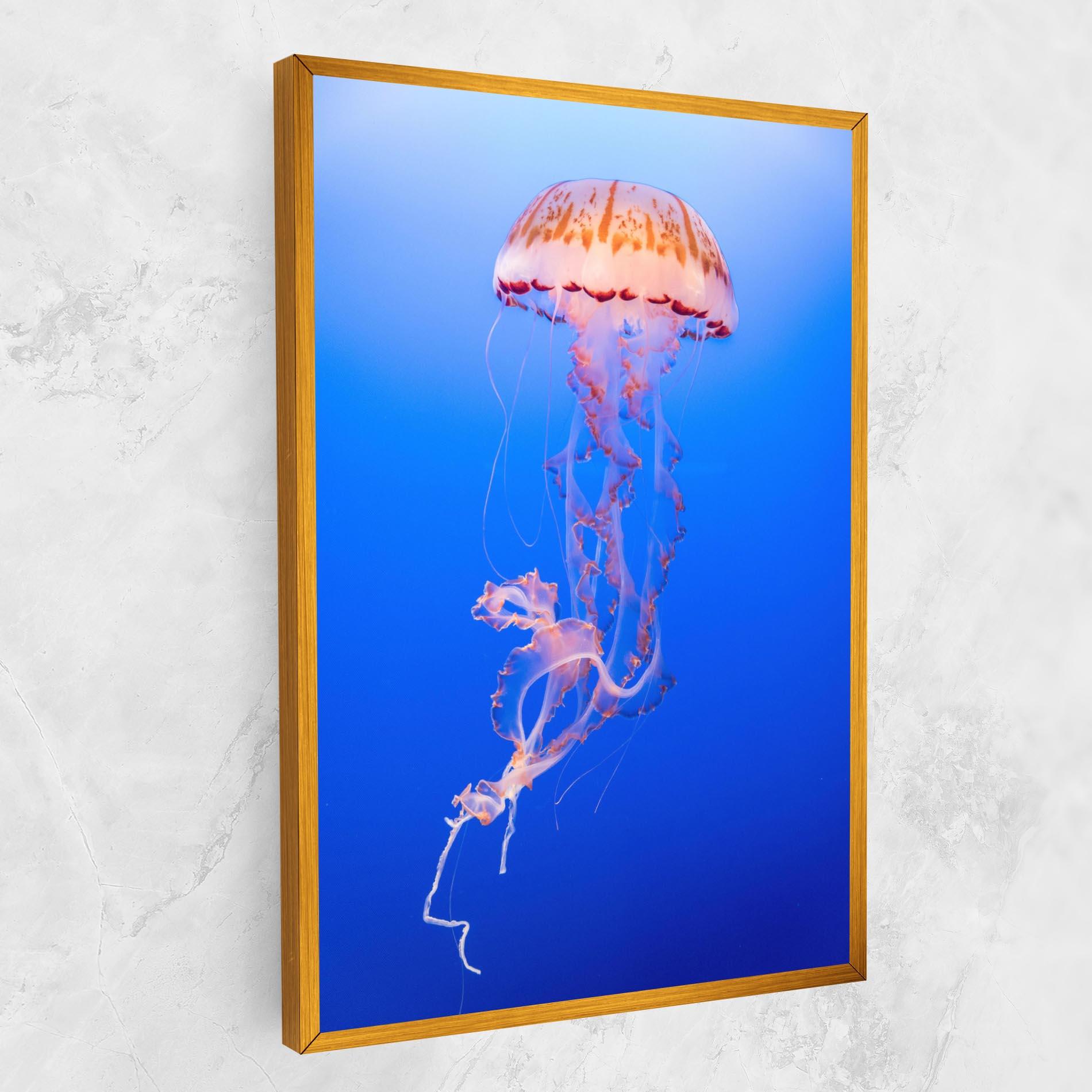Leinwandbild Pretty White Jellyfish mockup 1