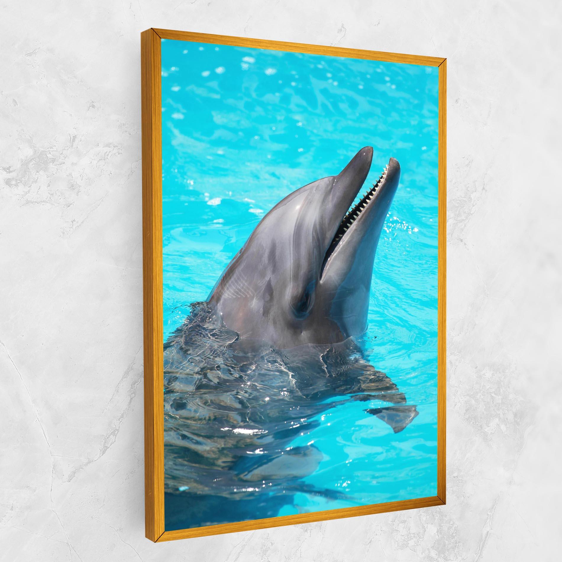 Leinwandbild Trained Dolphin mockup 1