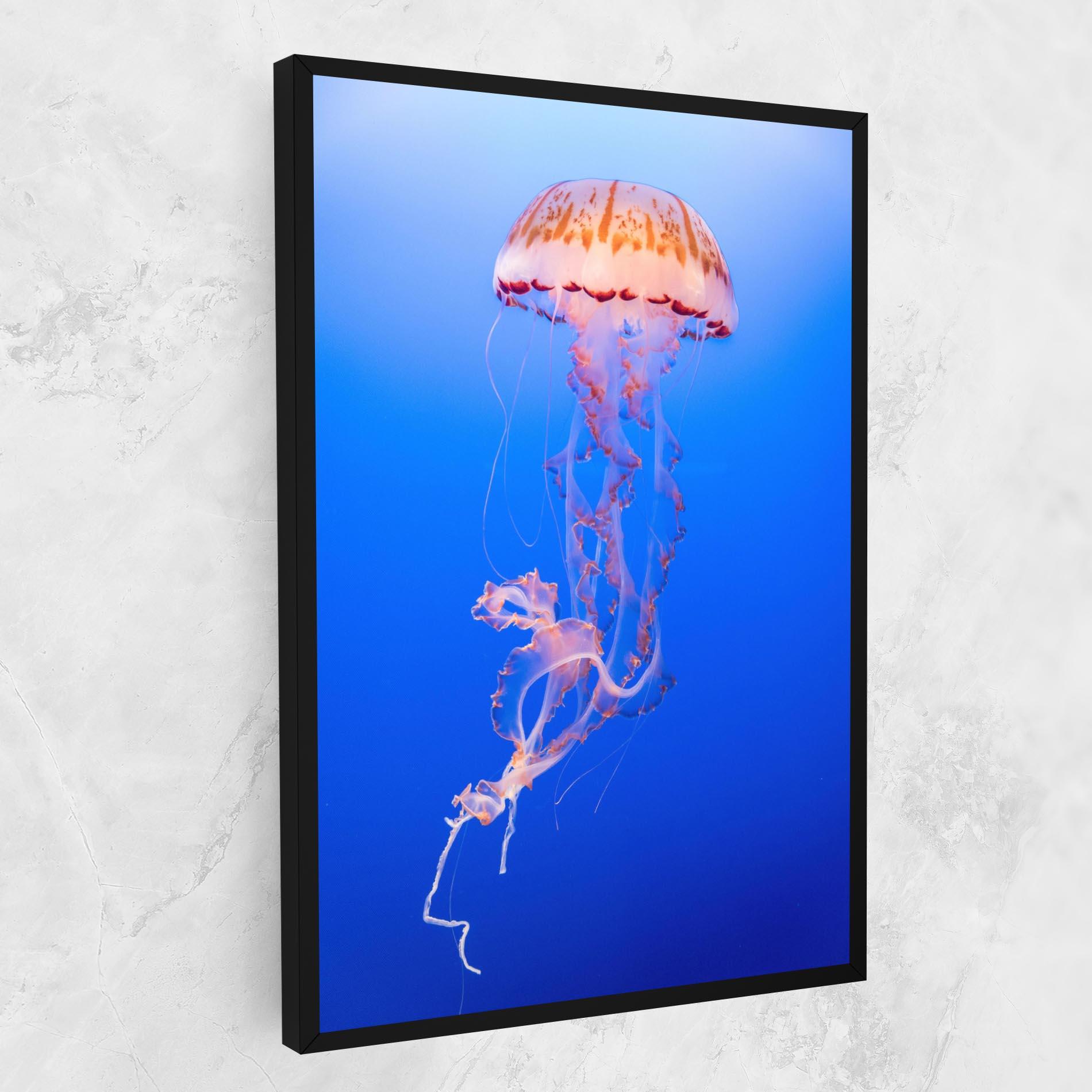 Leinwandbild Pretty White Jellyfish mockup 1