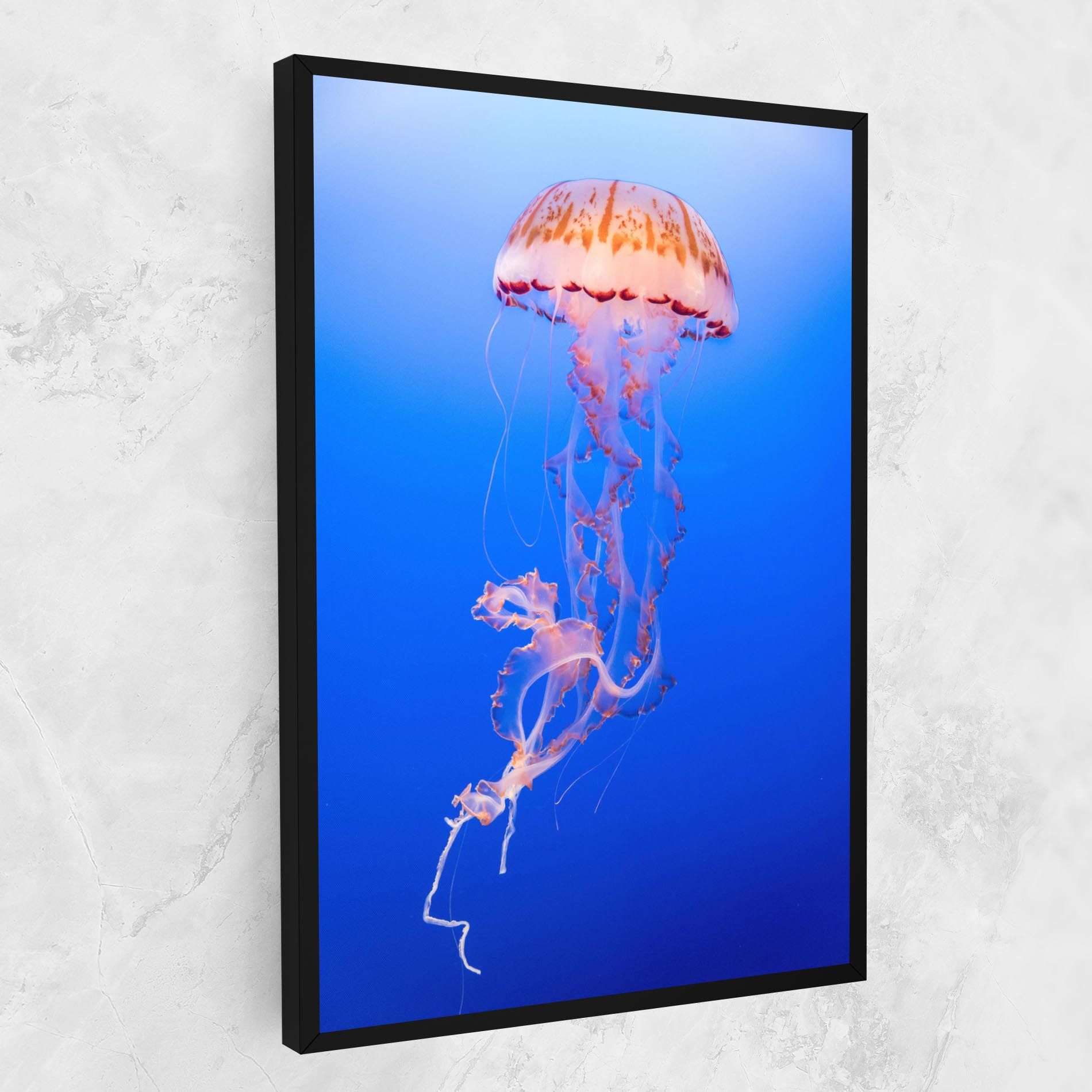 Pretty White Jellyfish mockup 1