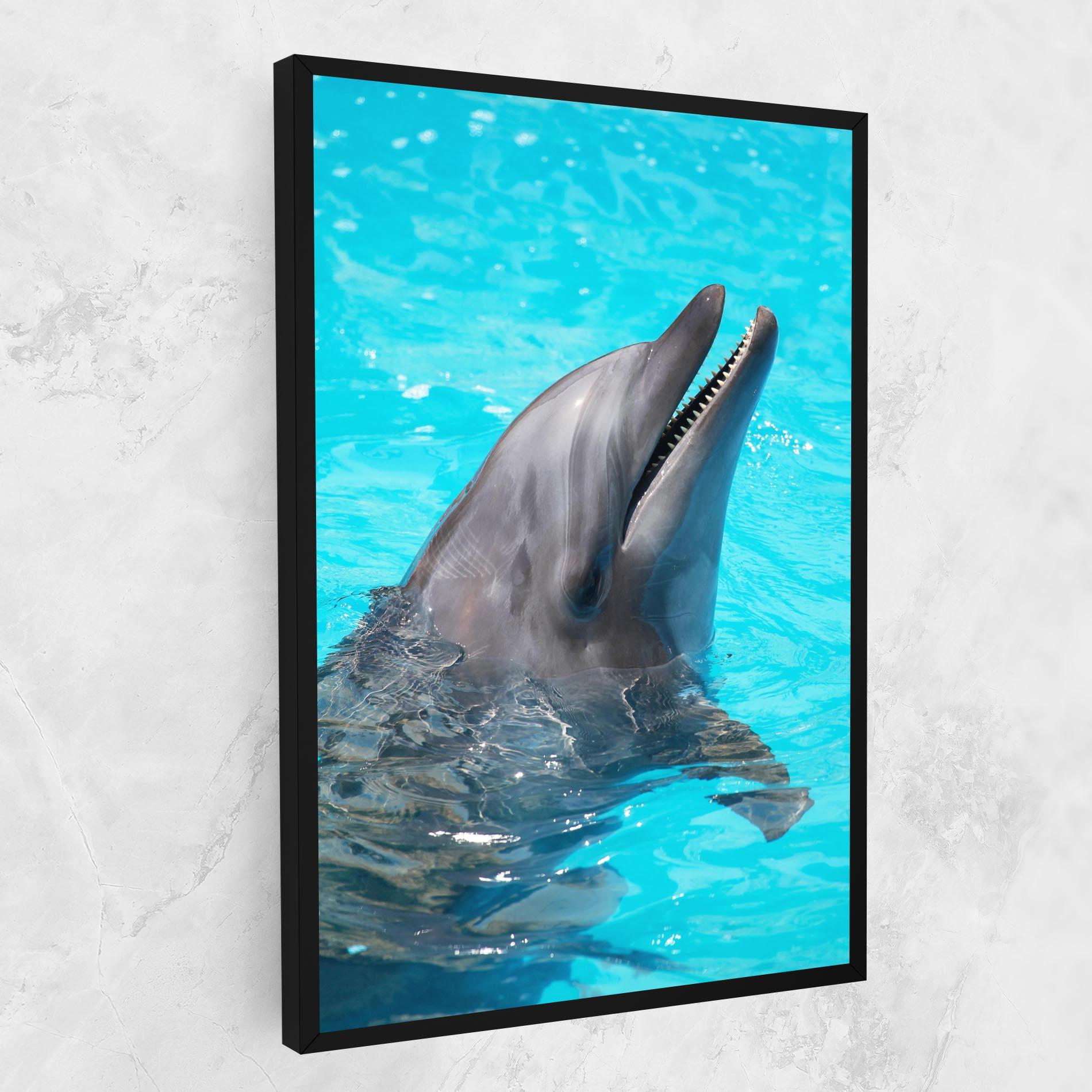 Leinwandbild Trained Dolphin mockup 1
