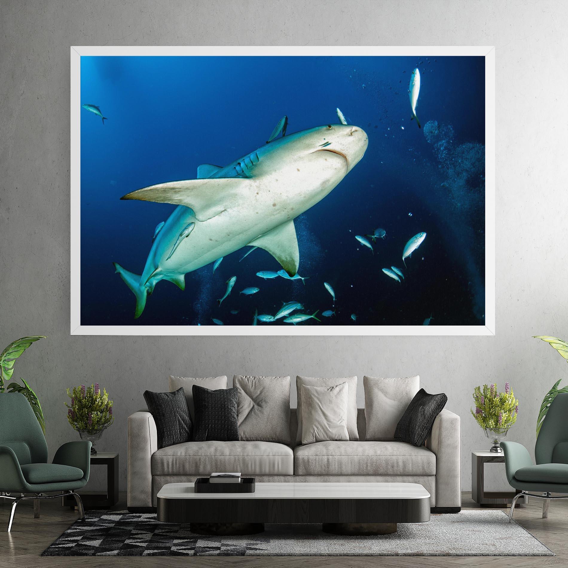 Leinwandbild Bull Shark mockup 7