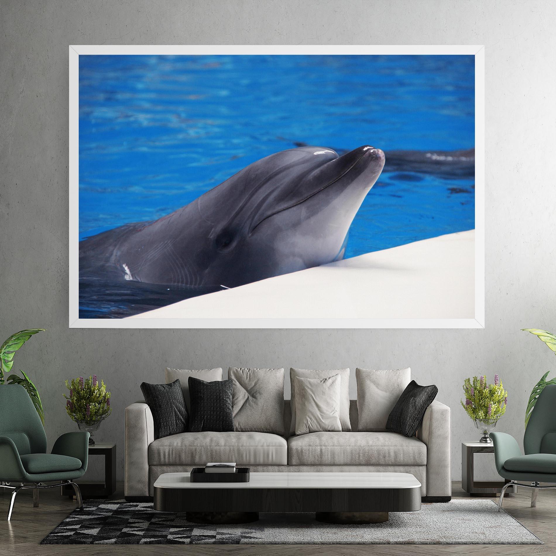 Leinwandbild Cute Dolphin mockup 7