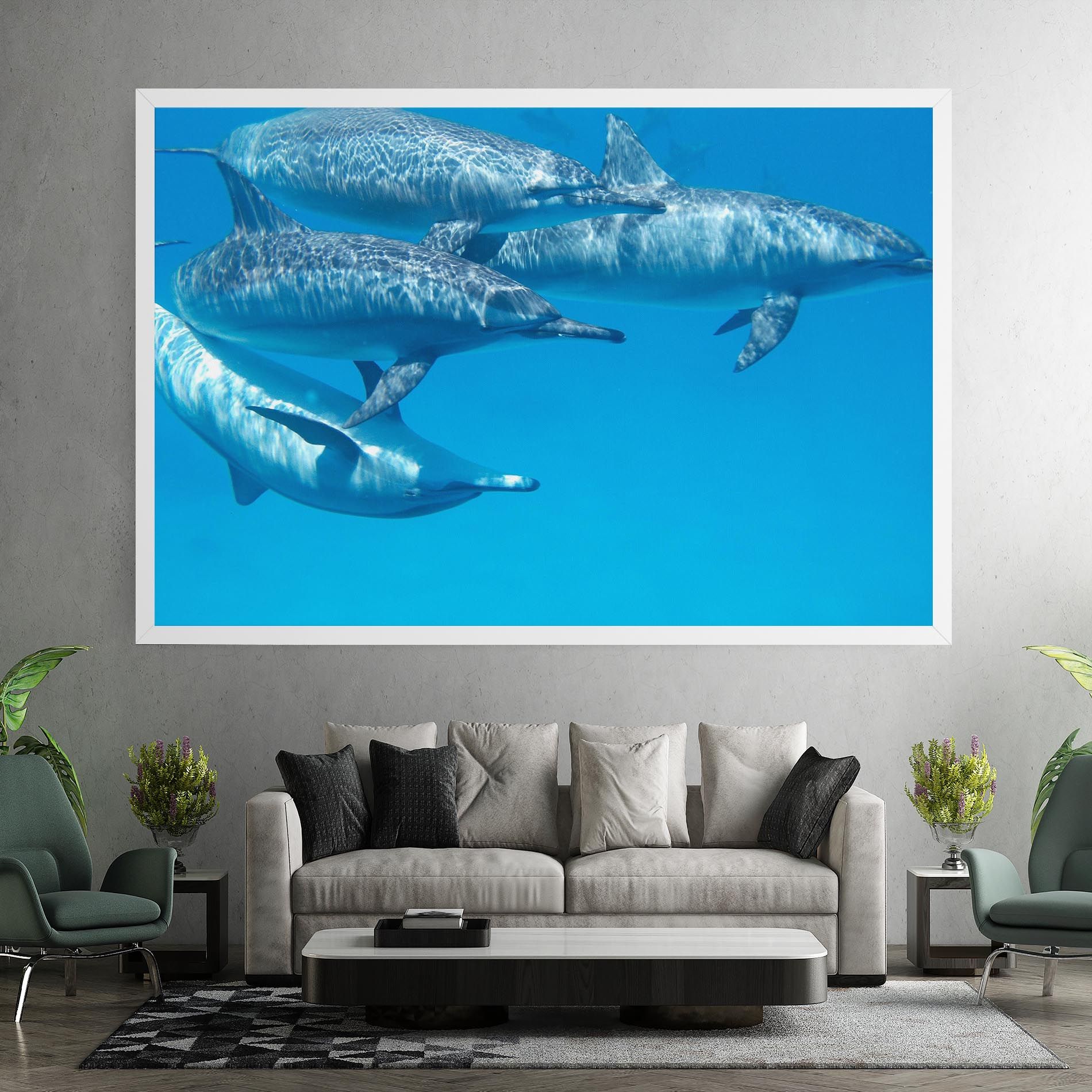 Family Of Dolphins mockup 7