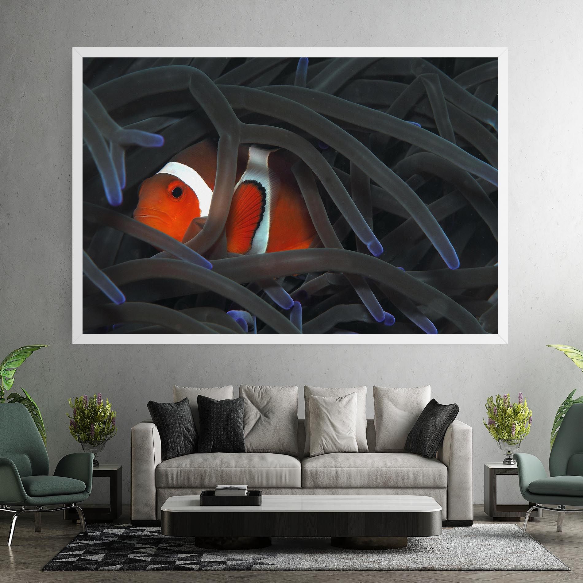 Nemo Hiding mockup 7