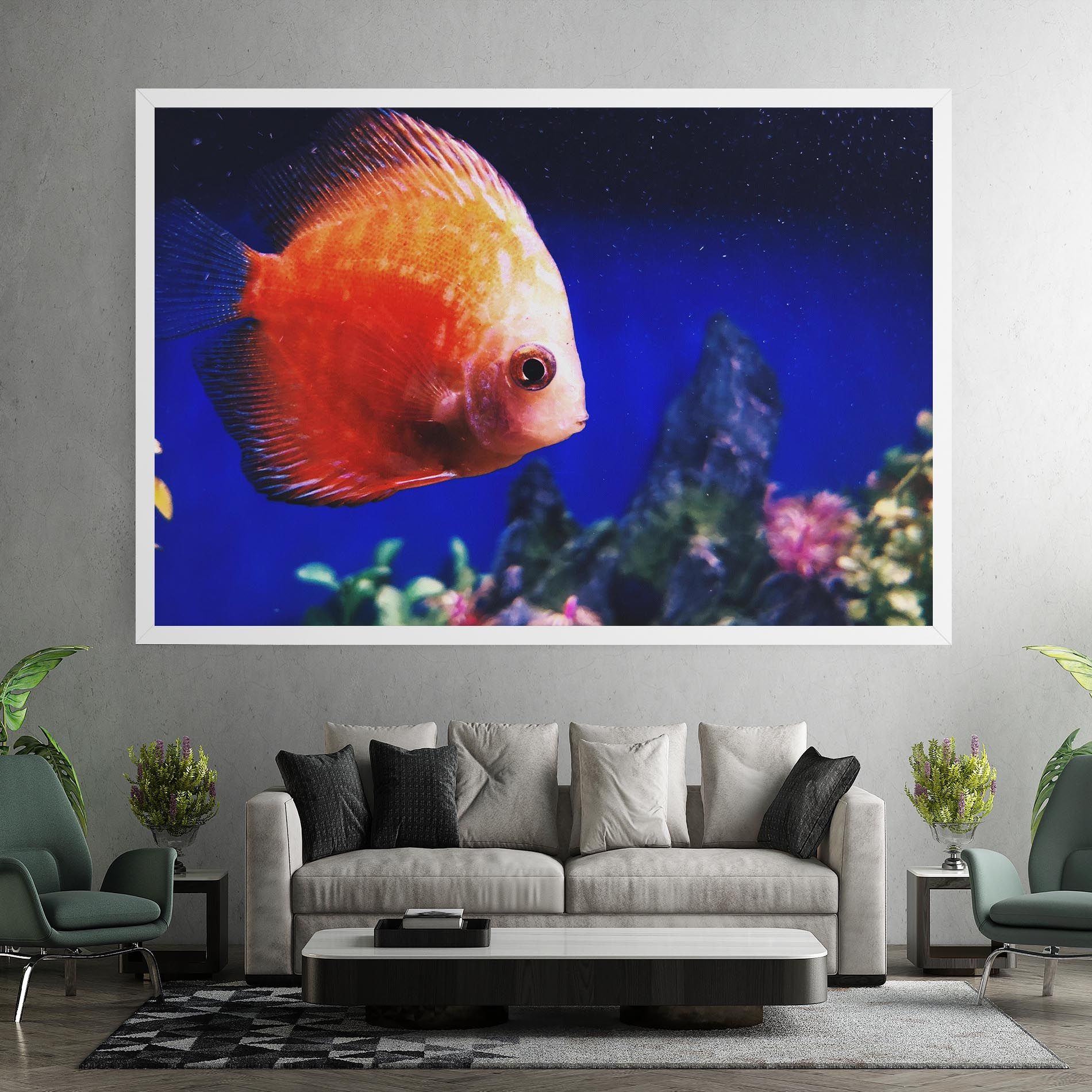Pretty Orange Fish mockup 7