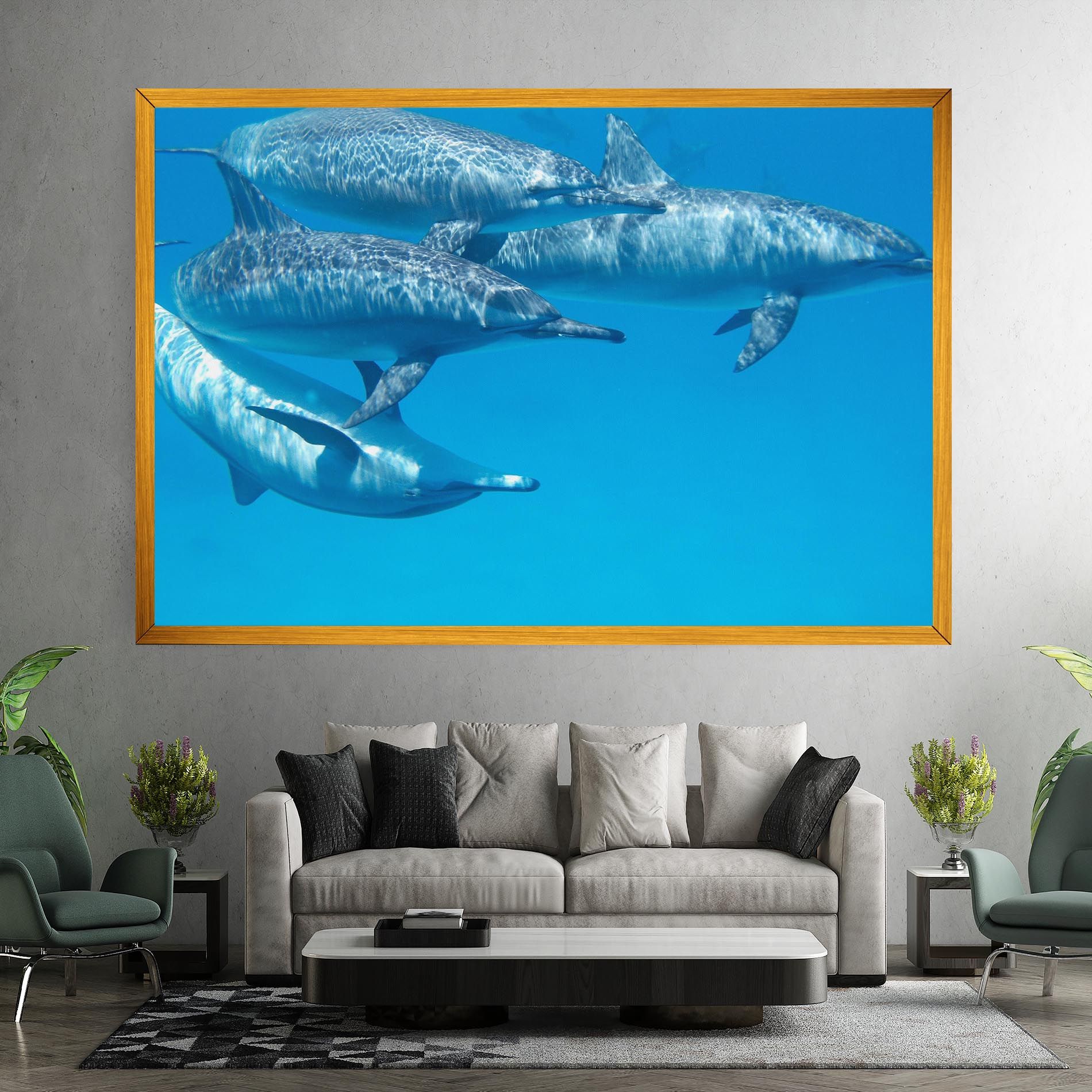 Family Of Dolphins mockup 7