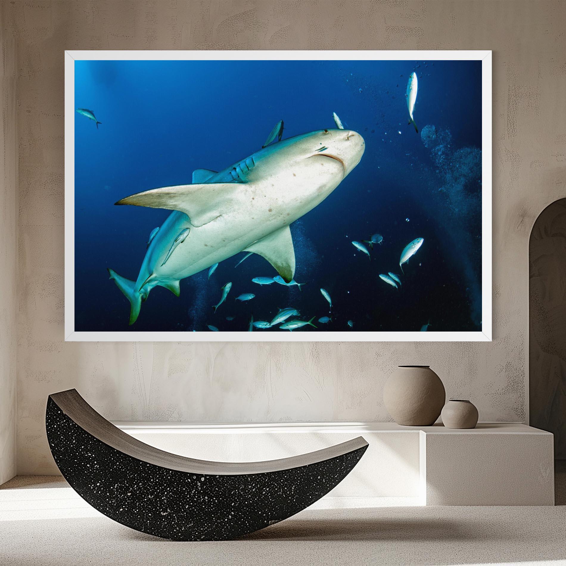 Leinwandbild Bull Shark mockup 8