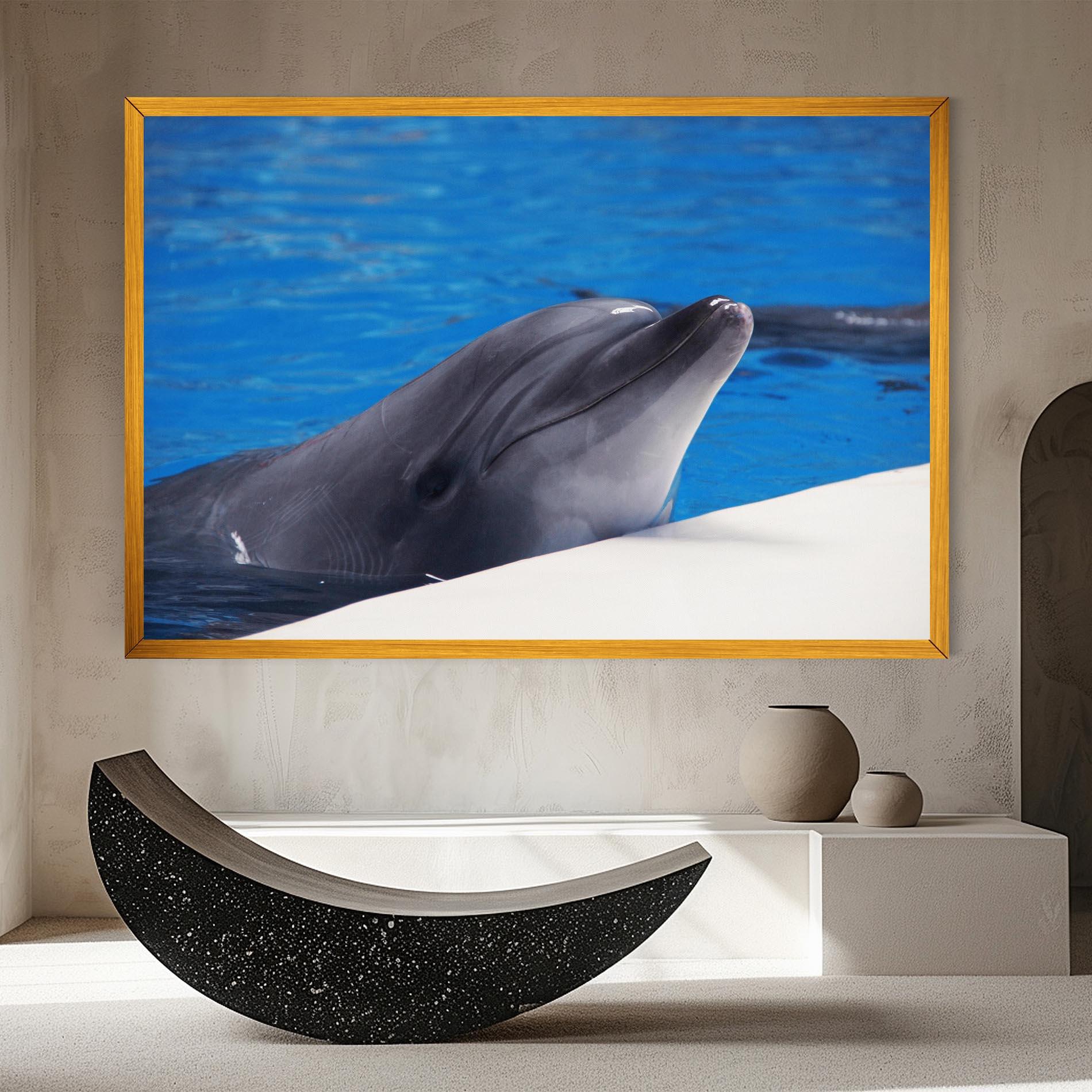 Leinwandbild Cute Dolphin mockup 8