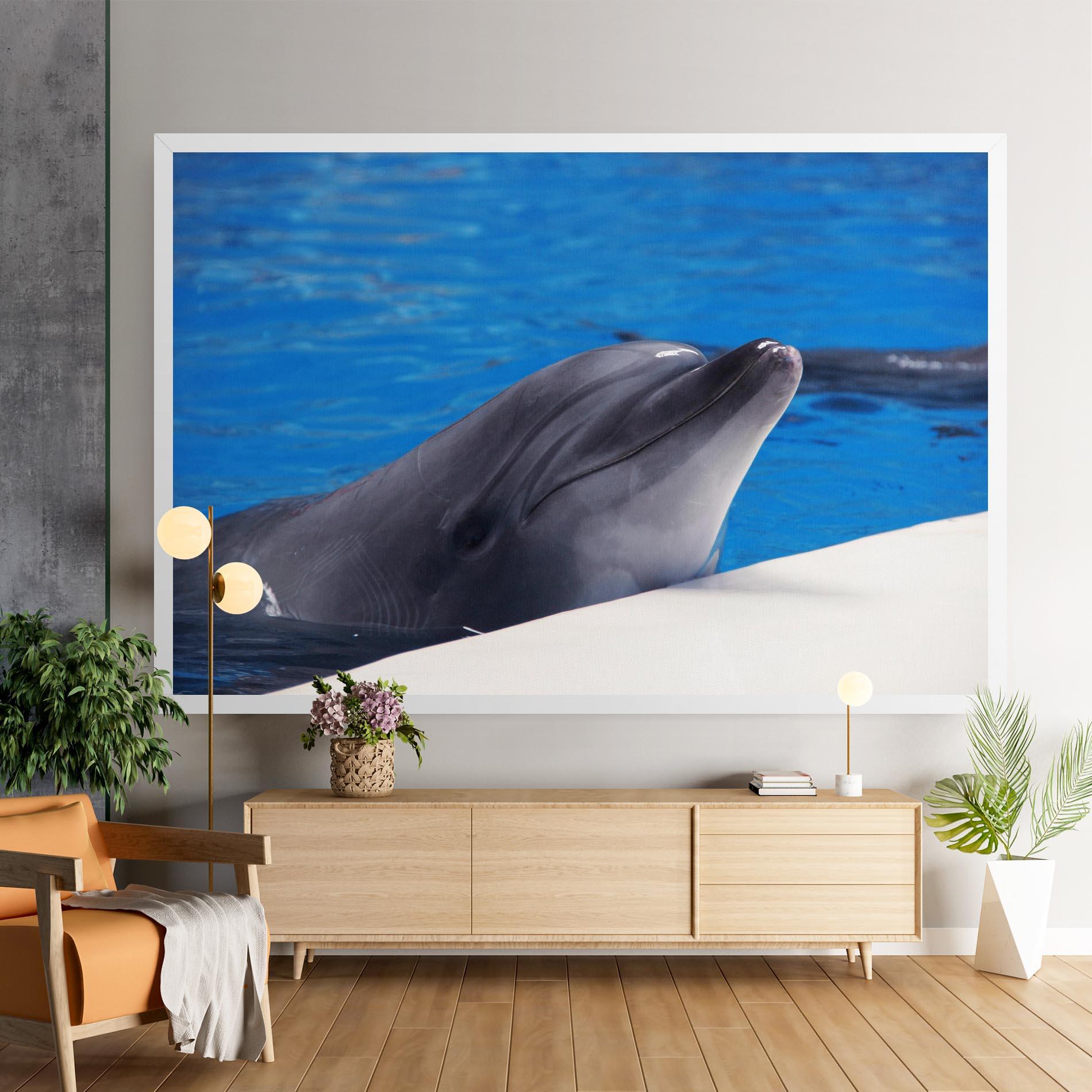 Leinwandbild Cute Dolphin mockup 9