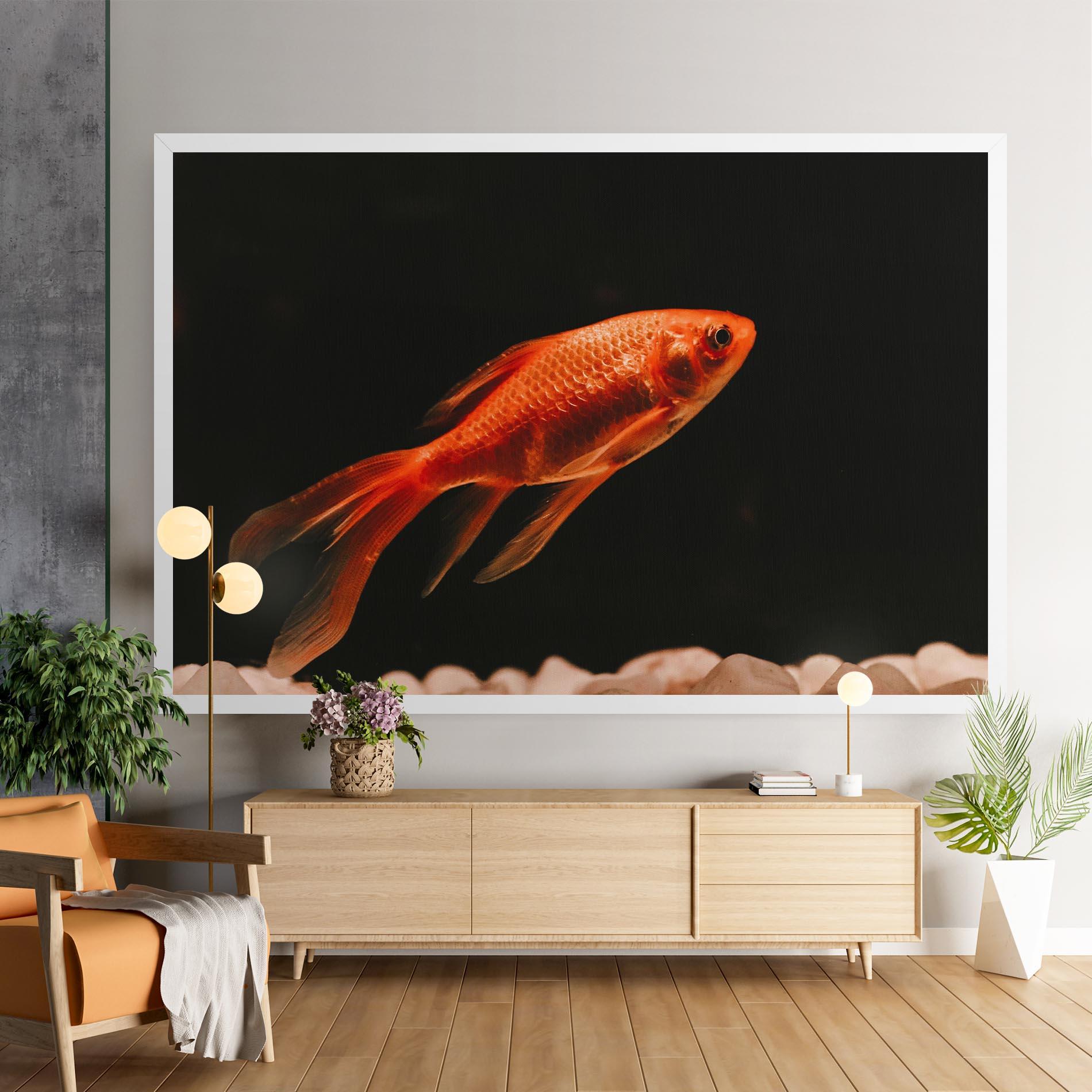 Leinwandbild Small Orange Fish mockup 9