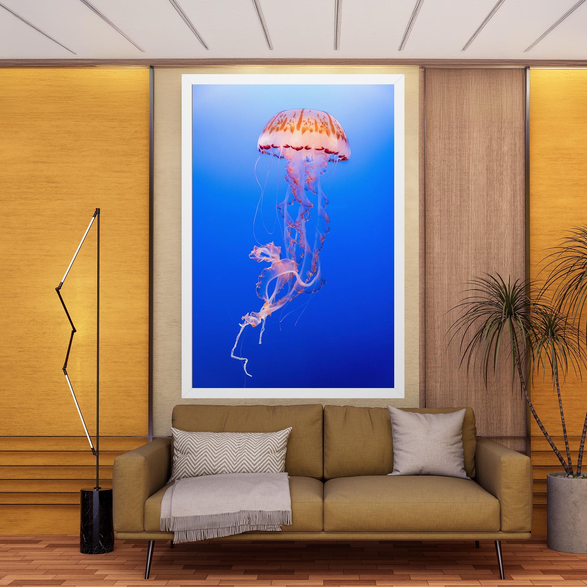 Leinwandbild Pretty White Jellyfish mockup 9