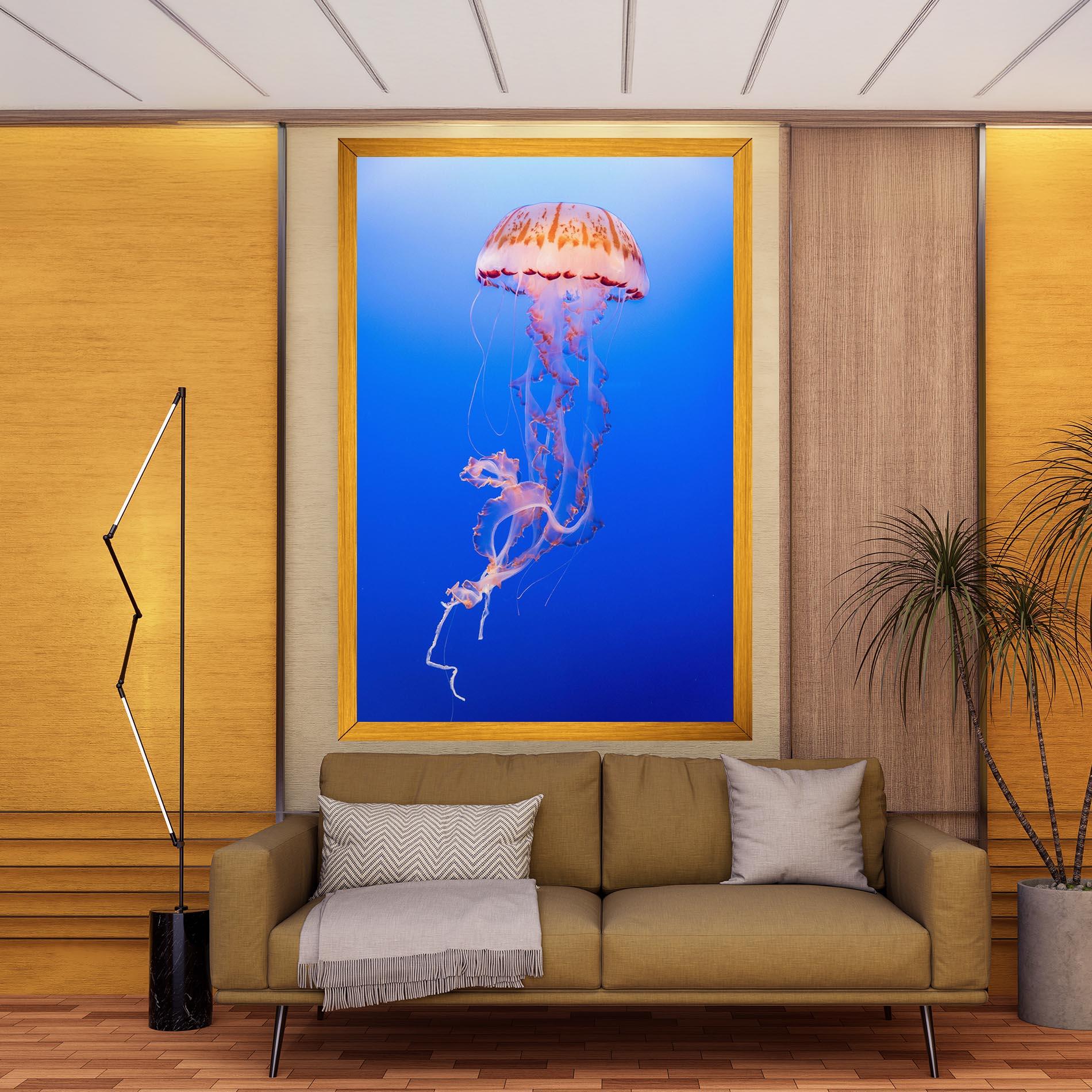 Leinwandbild Pretty White Jellyfish mockup 9