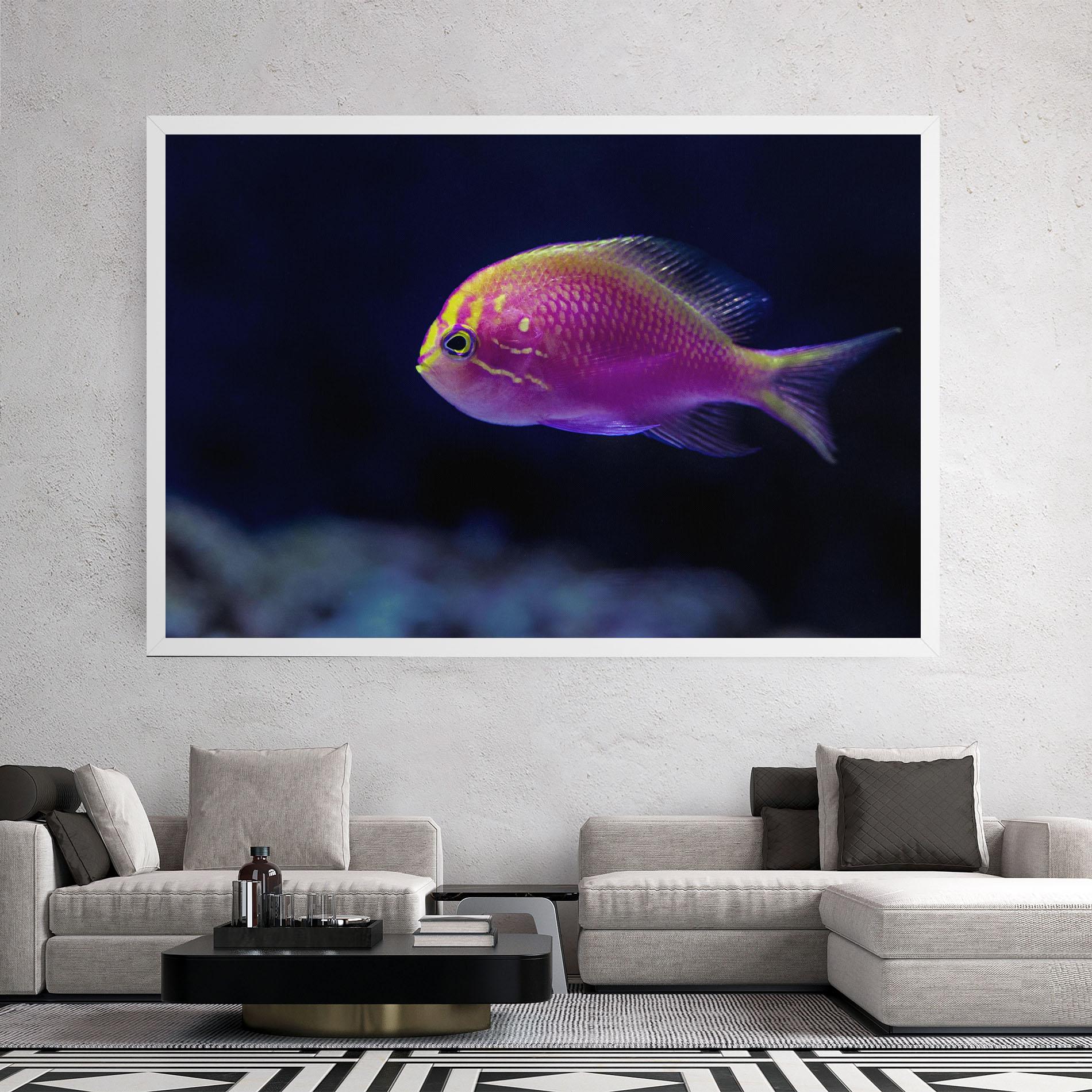 Leinwandbild Angry Pink Fish mockup 2