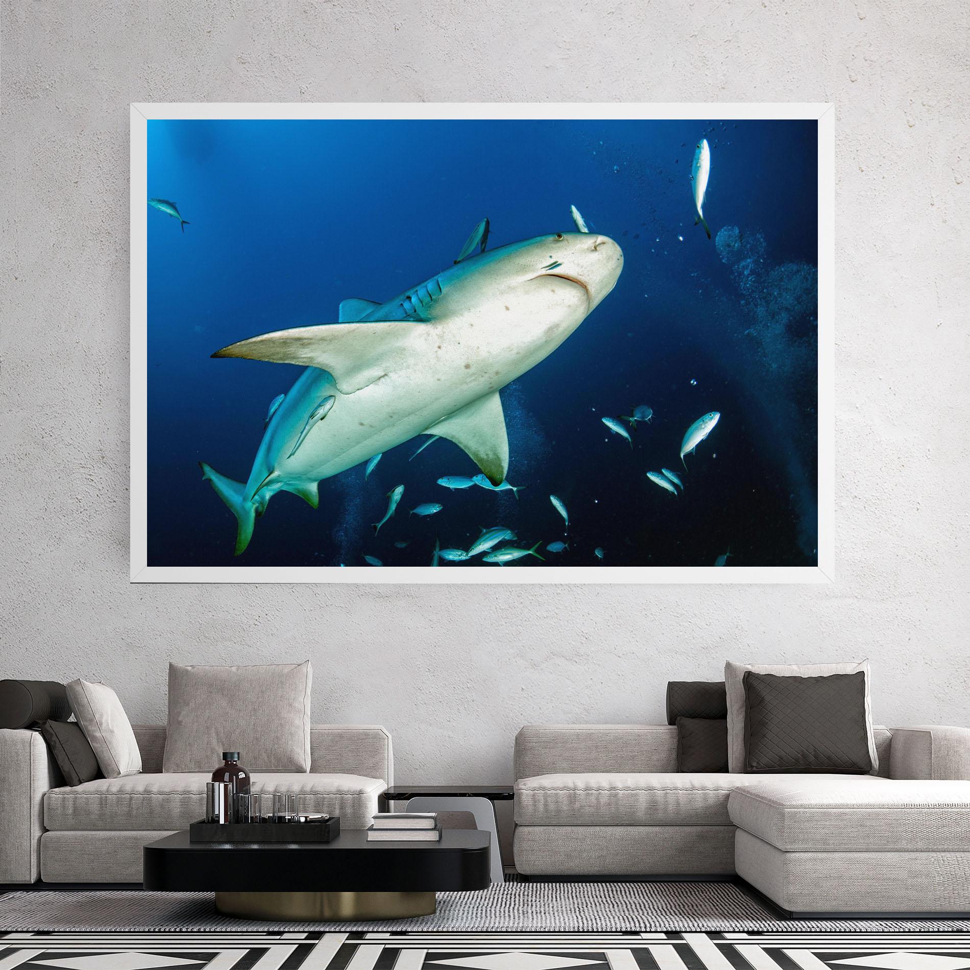 Leinwandbild Bull Shark mockup 2