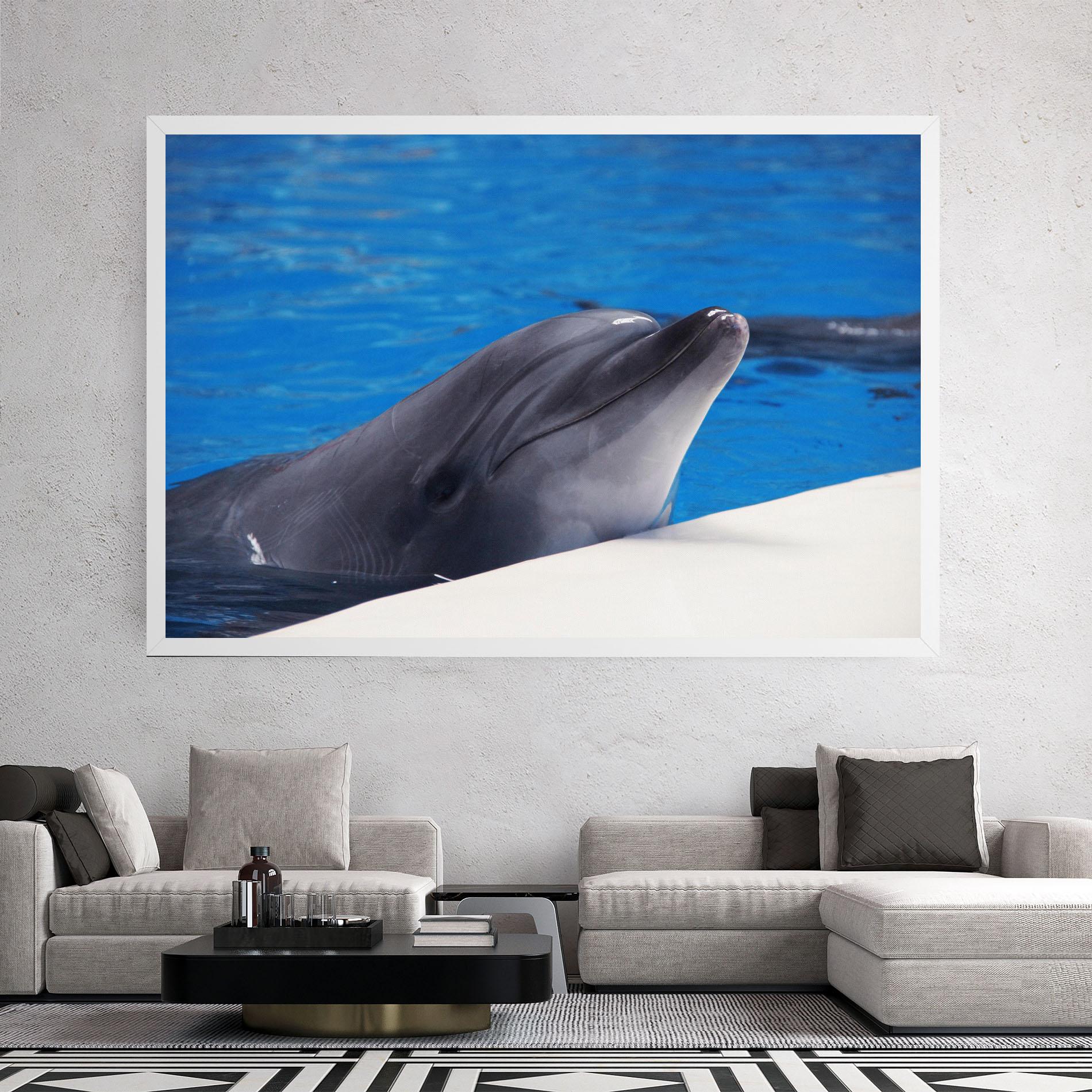 Leinwandbild Cute Dolphin mockup 2
