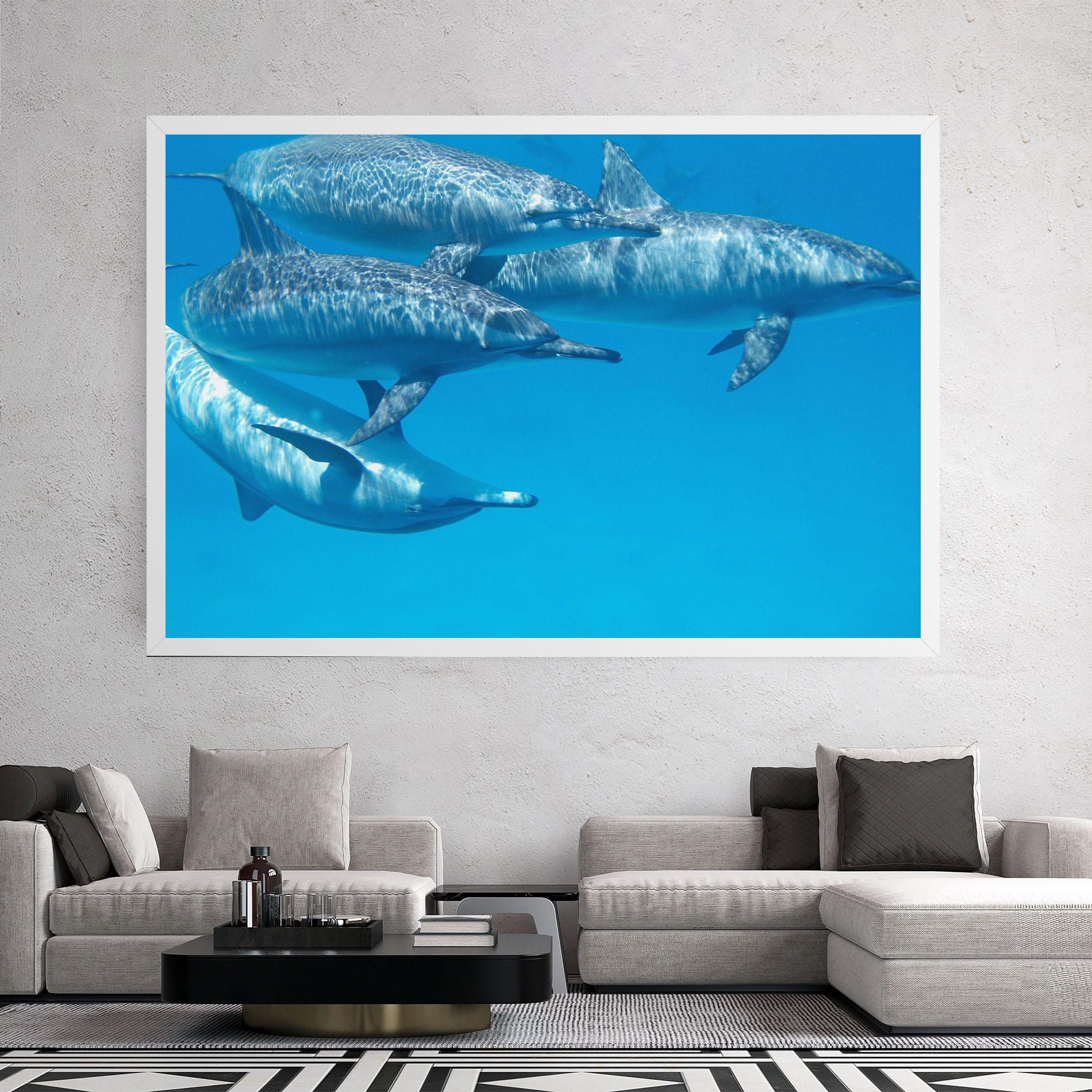 Leinwandbild Family Of Dolphins mockup 2