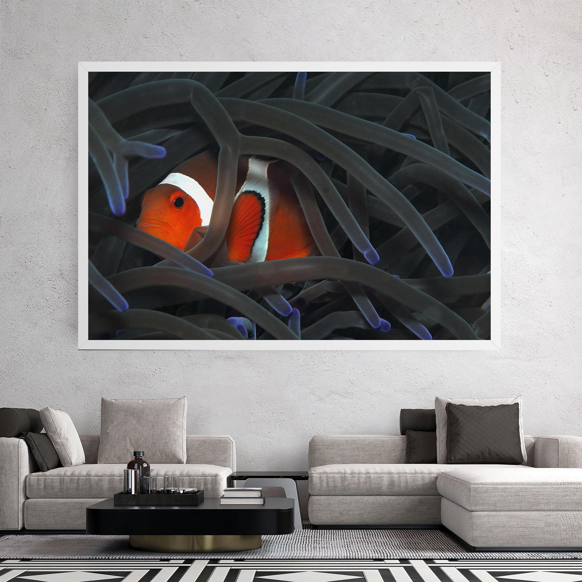 Leinwandbild Nemo Hiding mockup 2