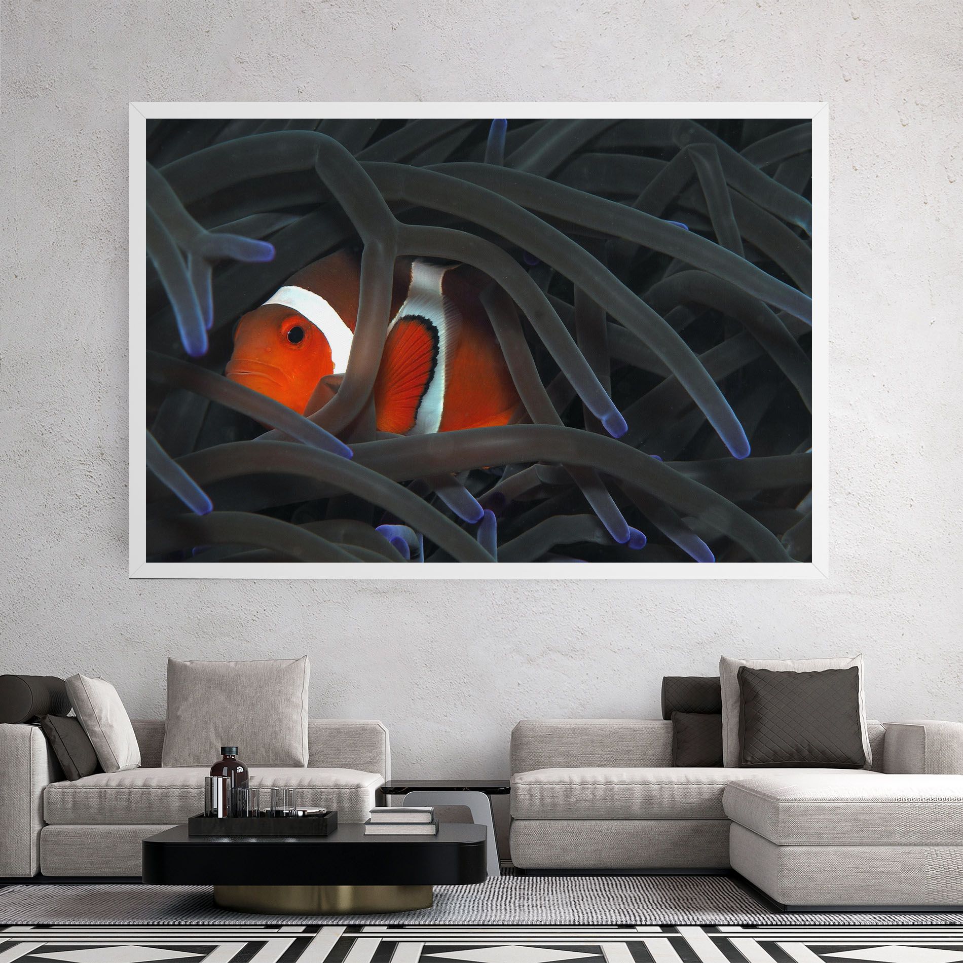 Nemo Hiding mockup 2