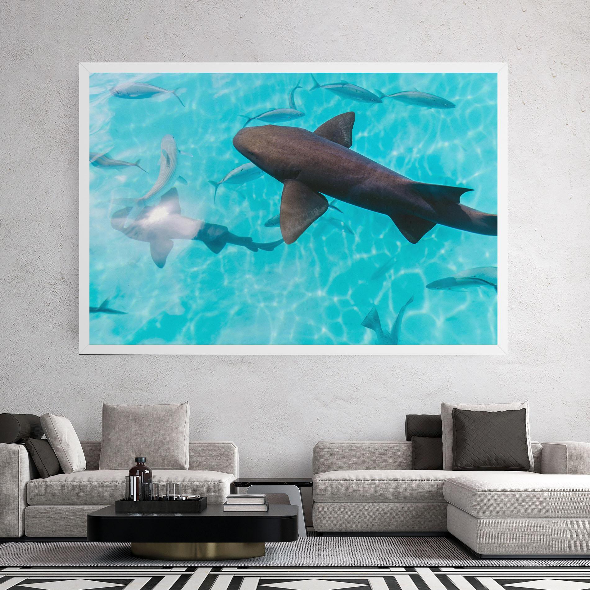 Leinwandbild Pretty Shark mockup 2