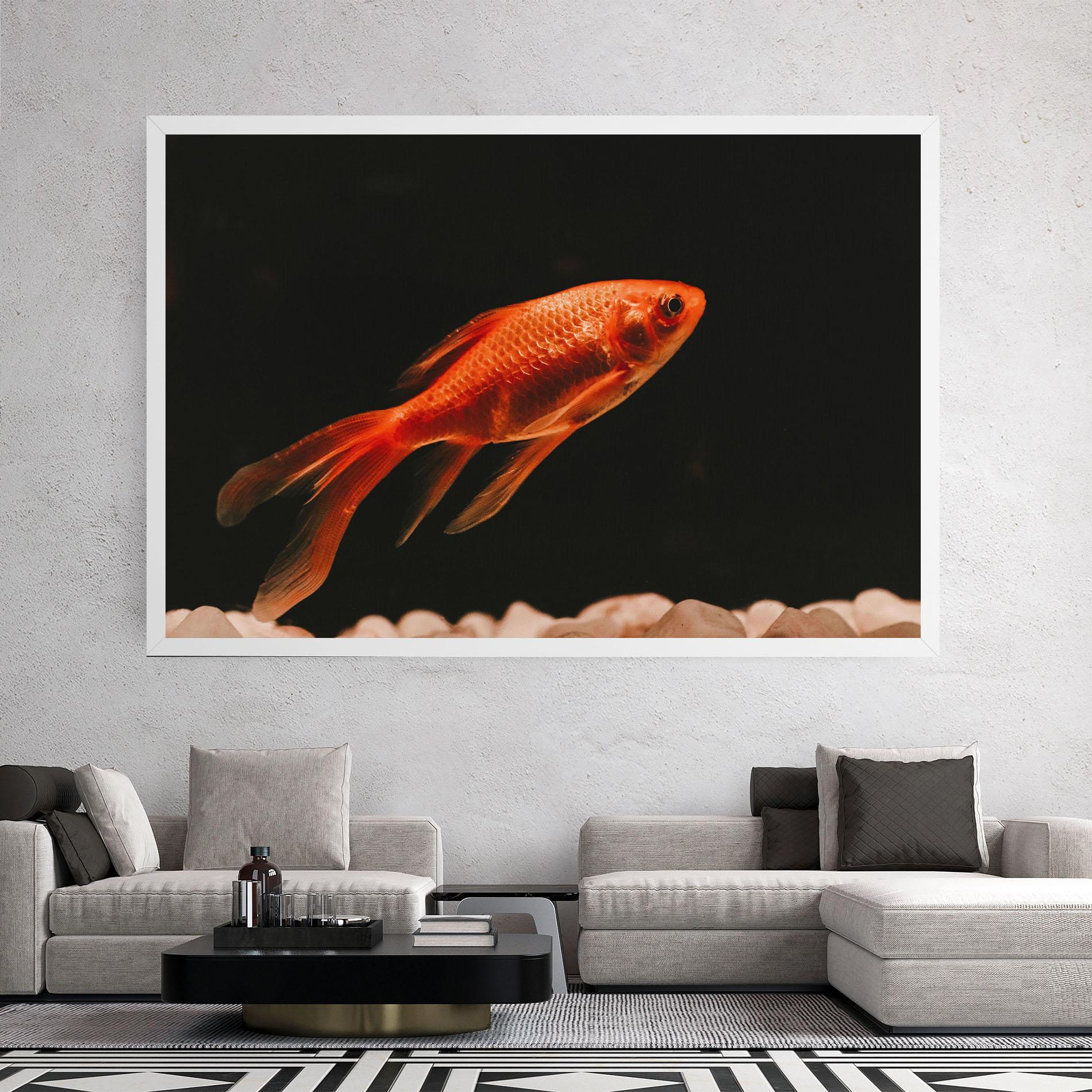 Leinwandbild Small Orange Fish mockup 2