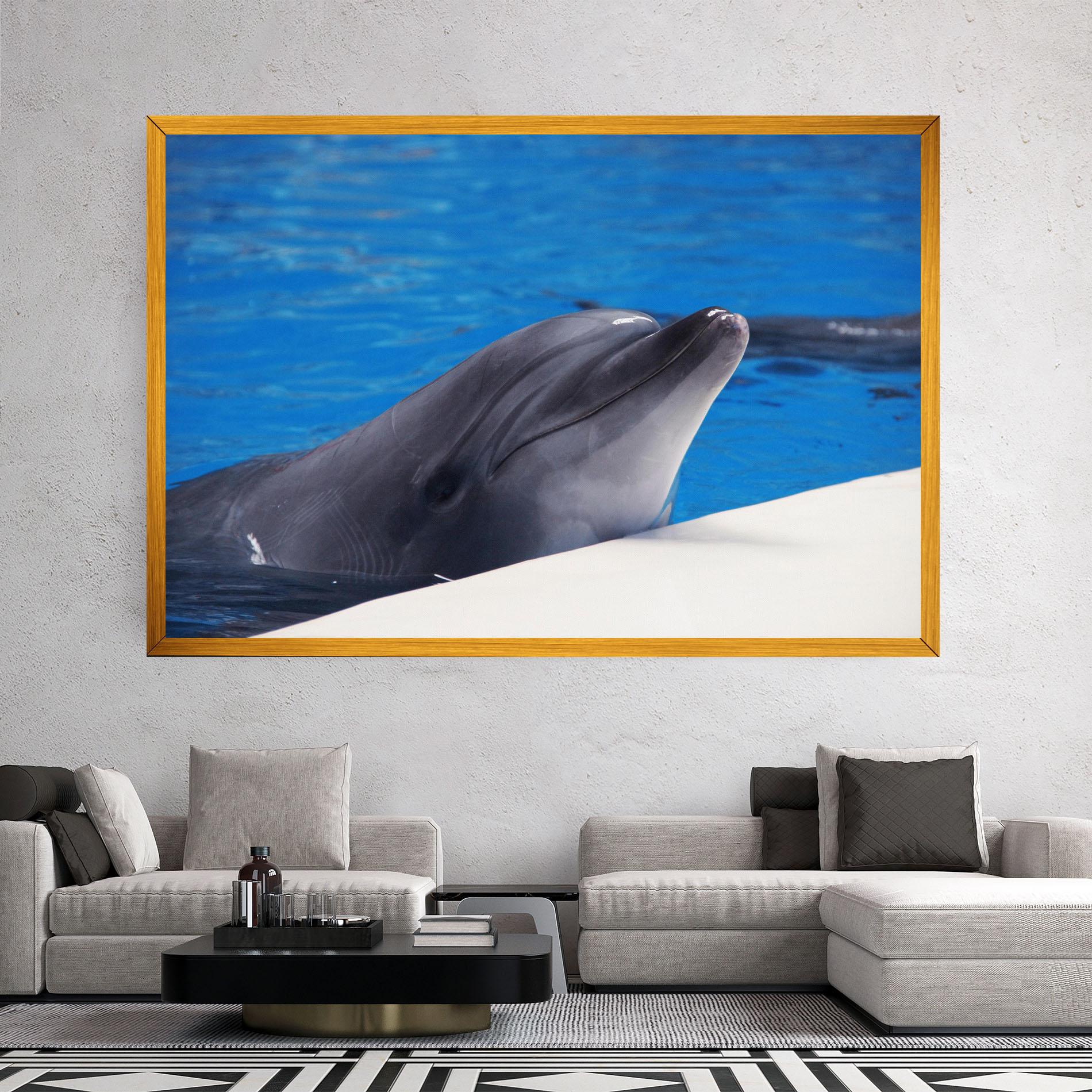 Leinwandbild Cute Dolphin mockup 2