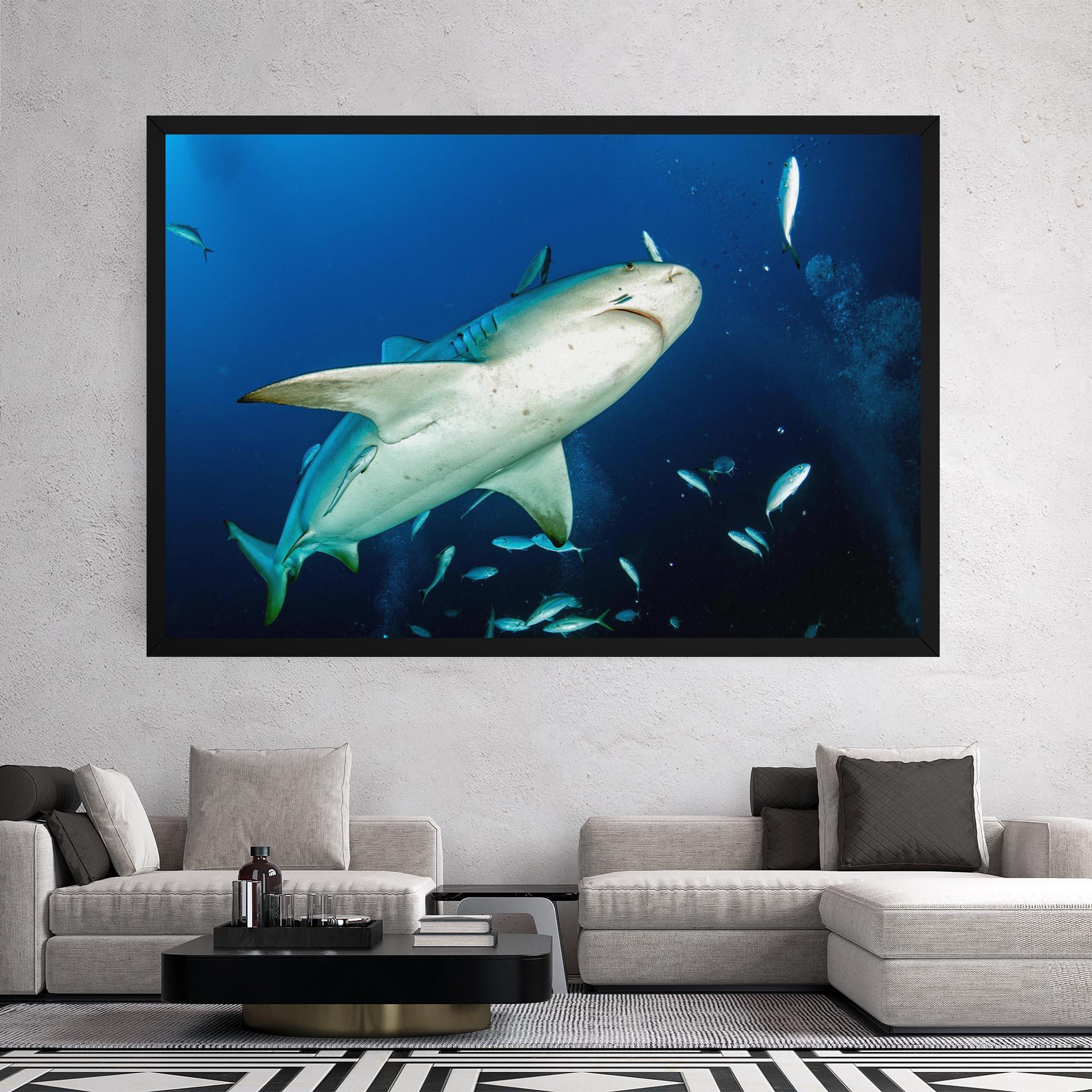 Leinwandbild Bull Shark mockup 2