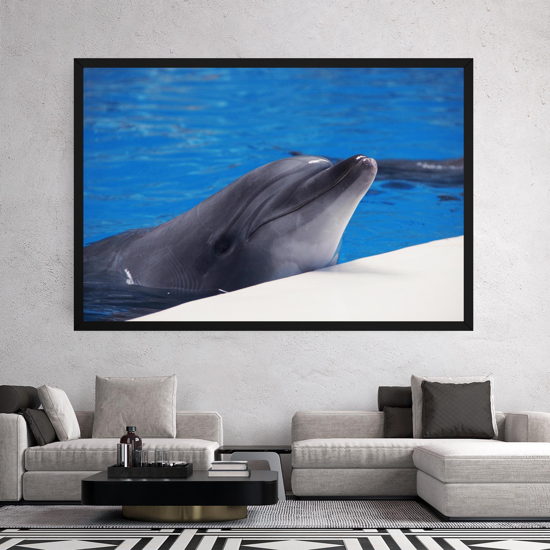 Leinwandbild Cute Dolphin mockup 2