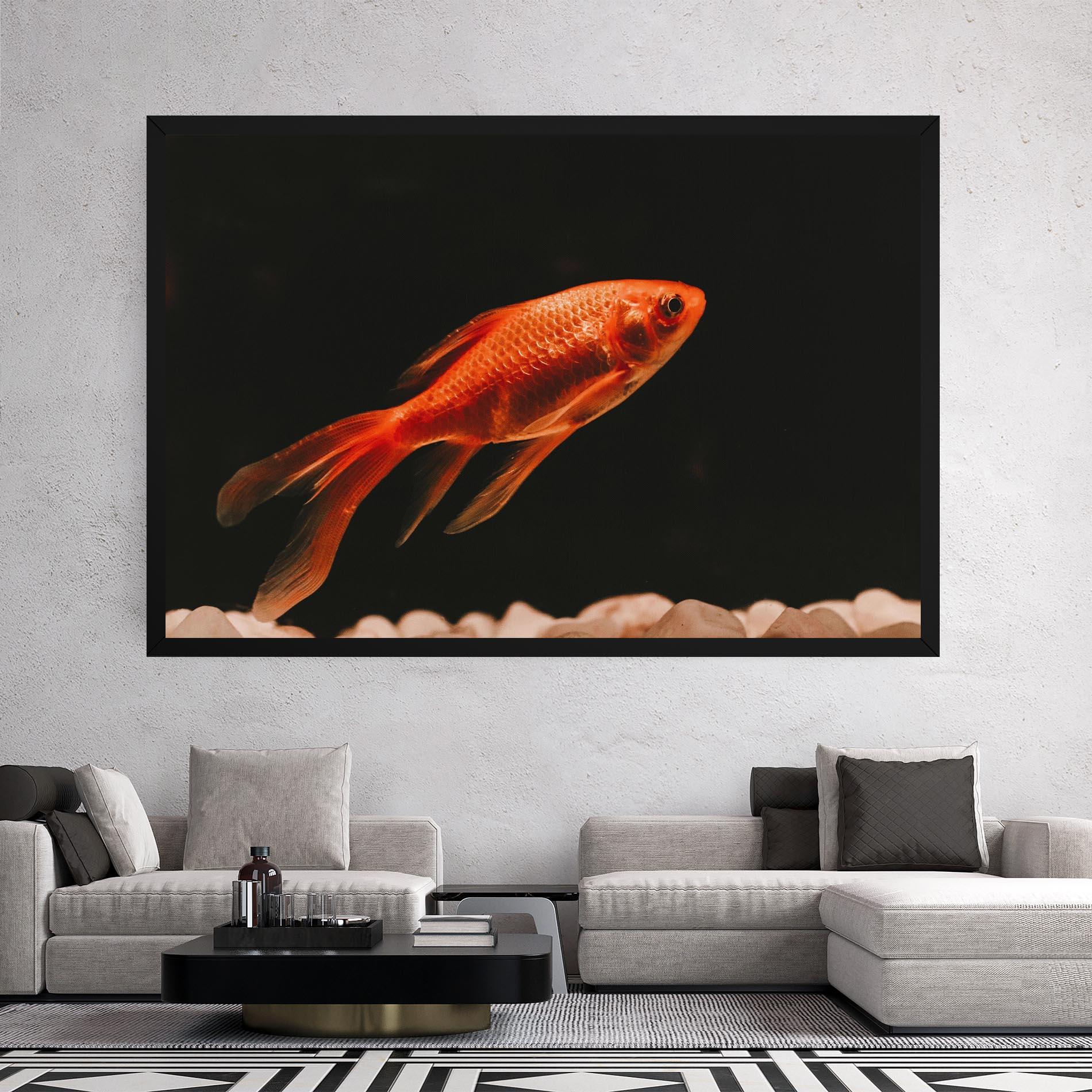 Leinwandbild Small Orange Fish mockup 2