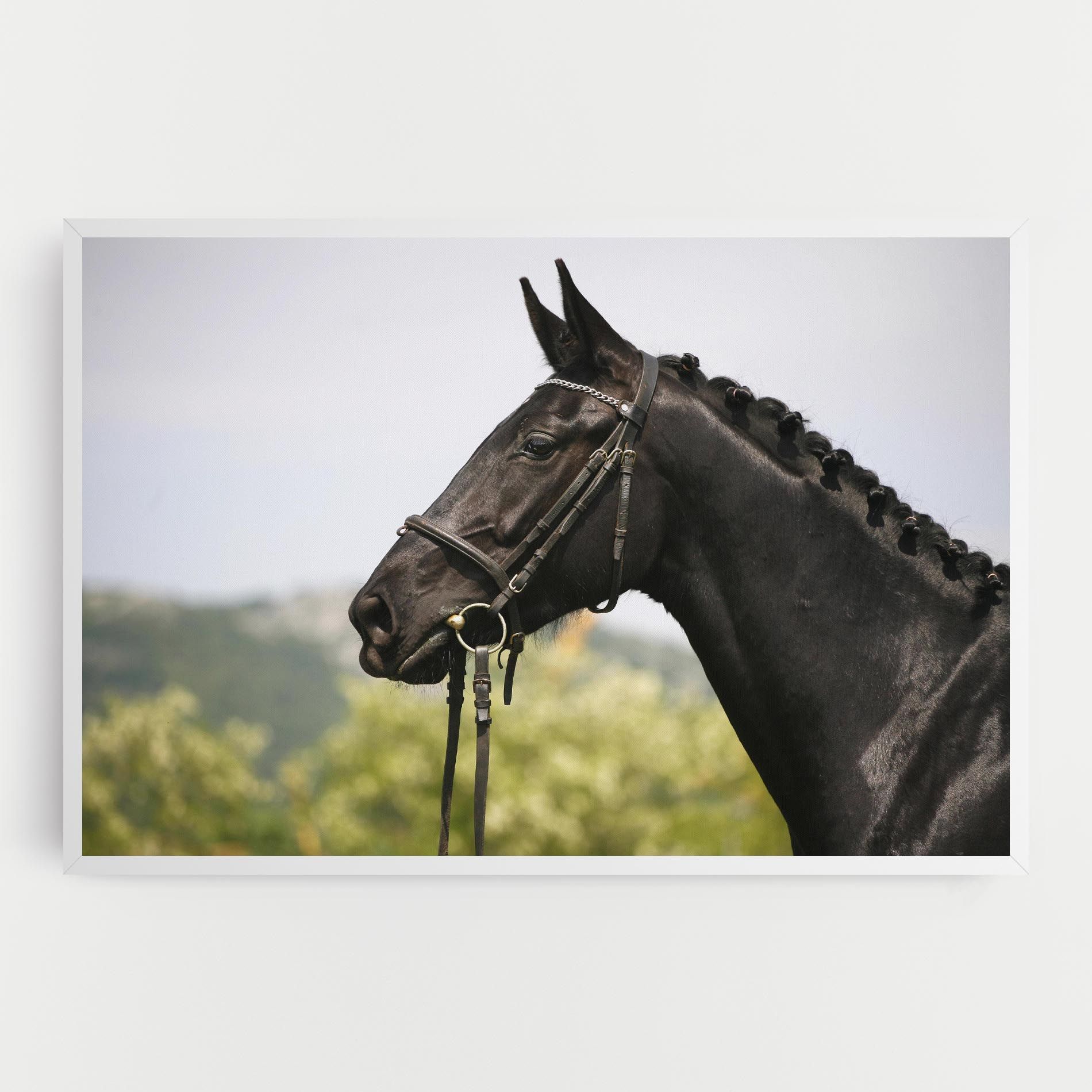 Big Ear Horse mockup 0