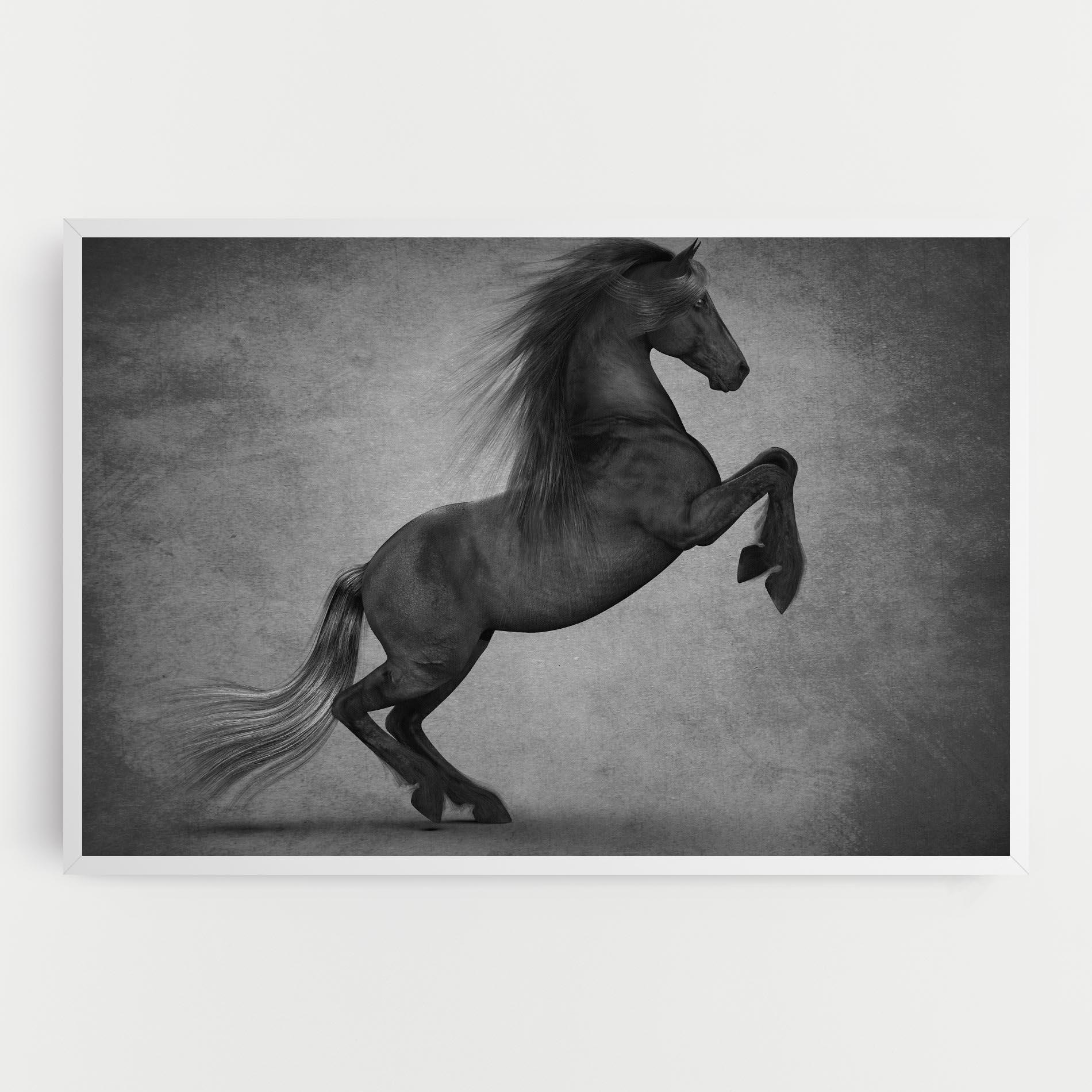 Leinwandbild Black Horse Jumping mockup 0