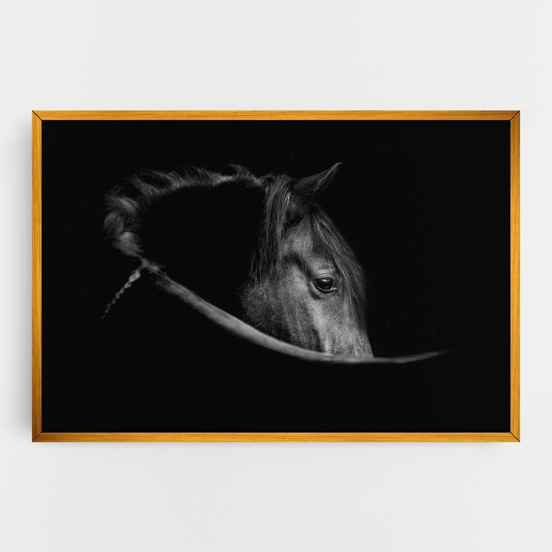 Leinwandbild Black Horse Looking mockup 0