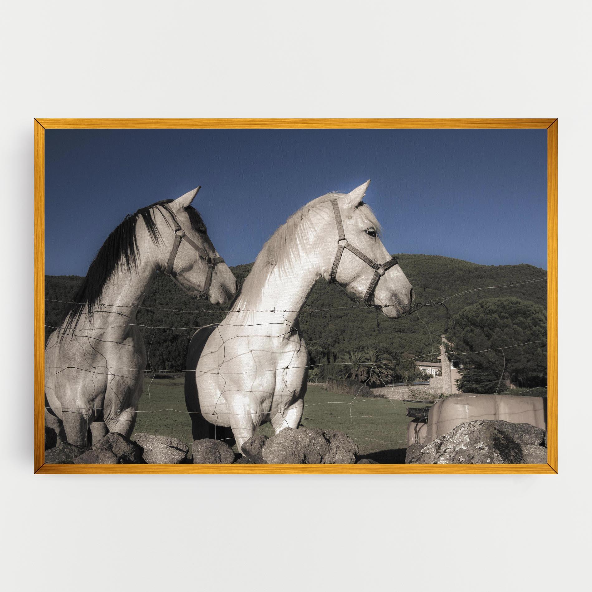 Leinwandbild White Grey Horse mockup 0