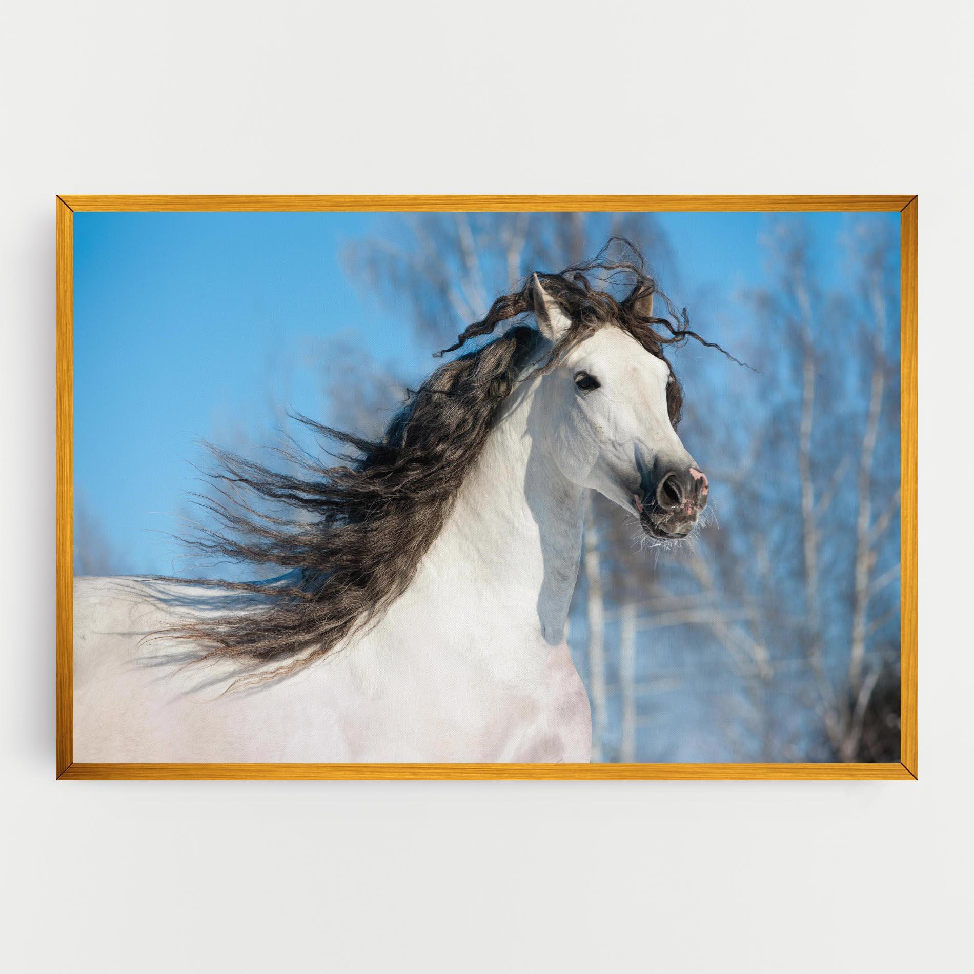 Leinwandbild Wild Black Hair Horse mockup 0