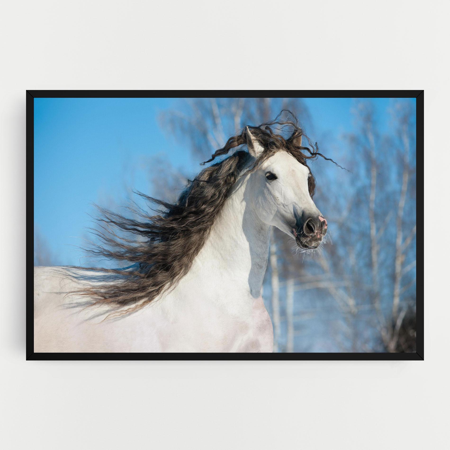 Leinwandbild Wild Black Hair Horse mockup 0