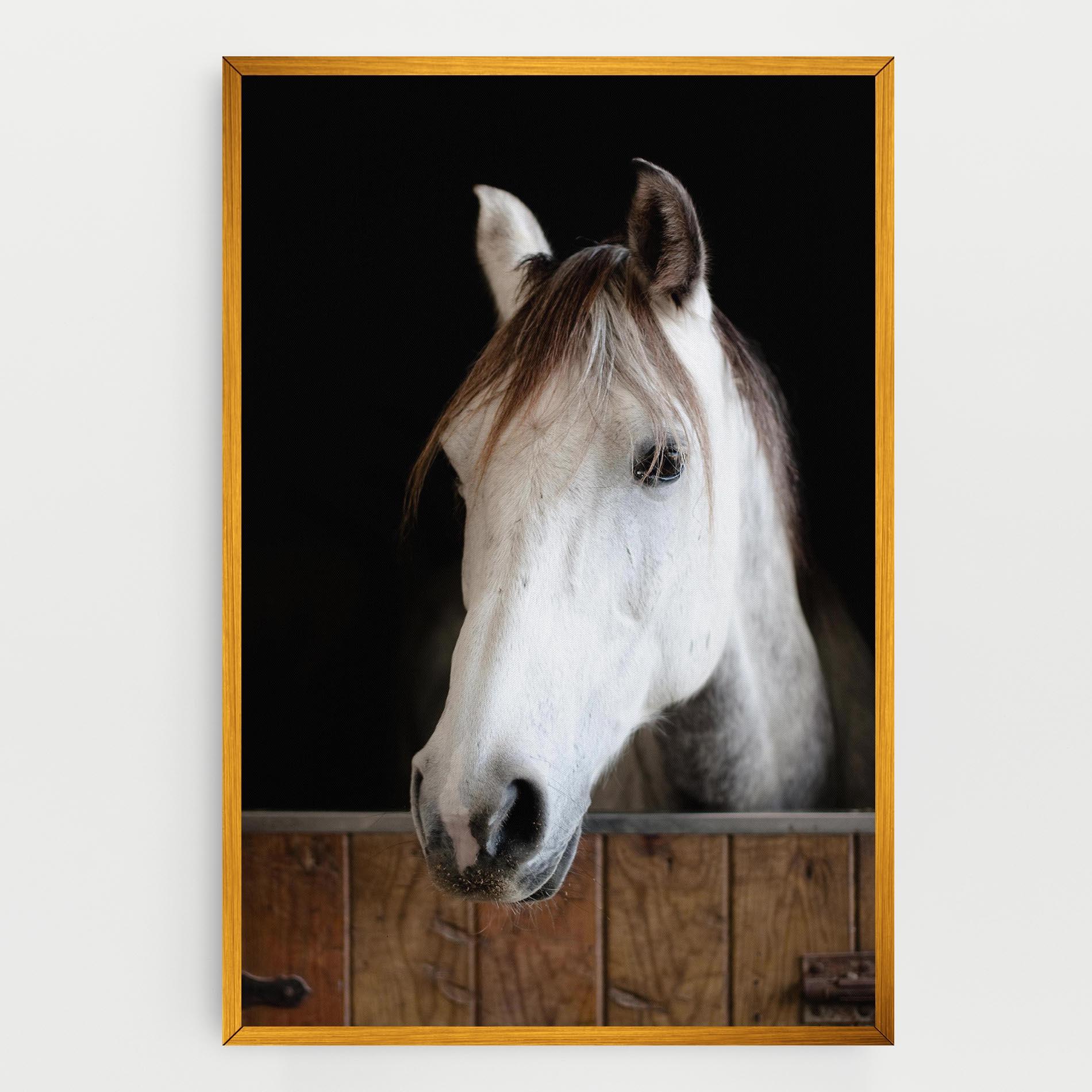 Leinwandbild Grey Horse Head mockup 0