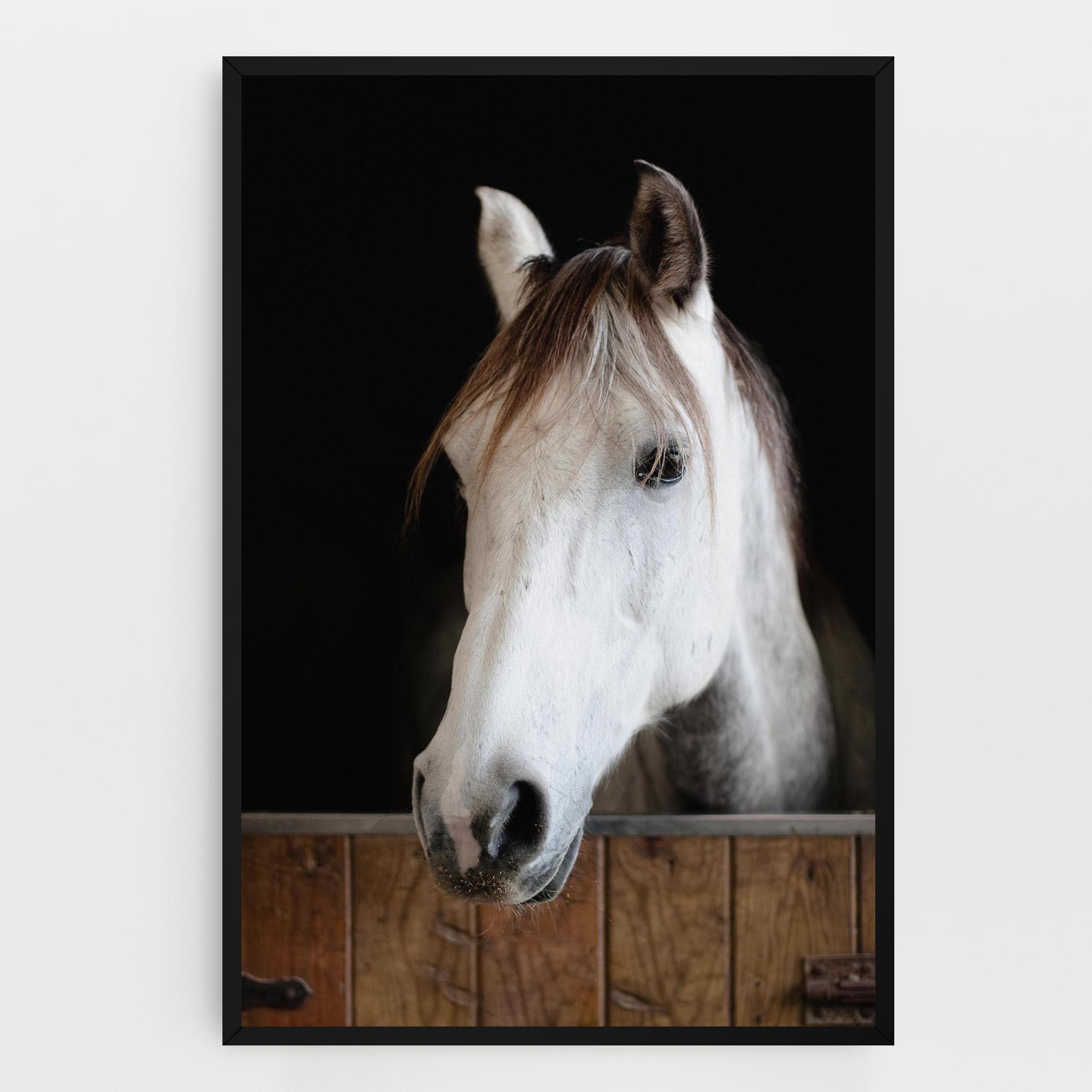 Leinwandbild Grey Horse Head mockup 0
