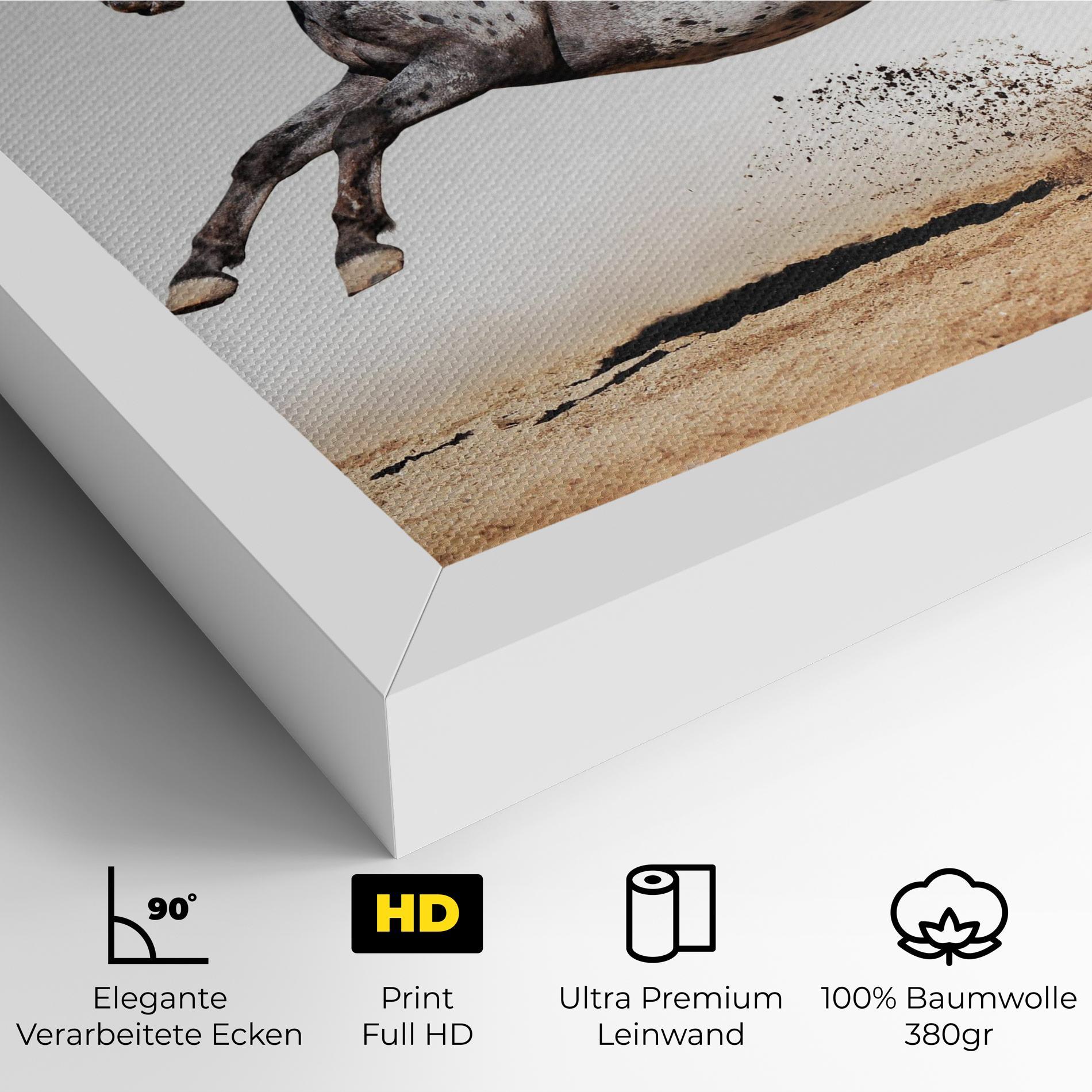 Leinwandbild Appaloosa Horse Running mockup 4