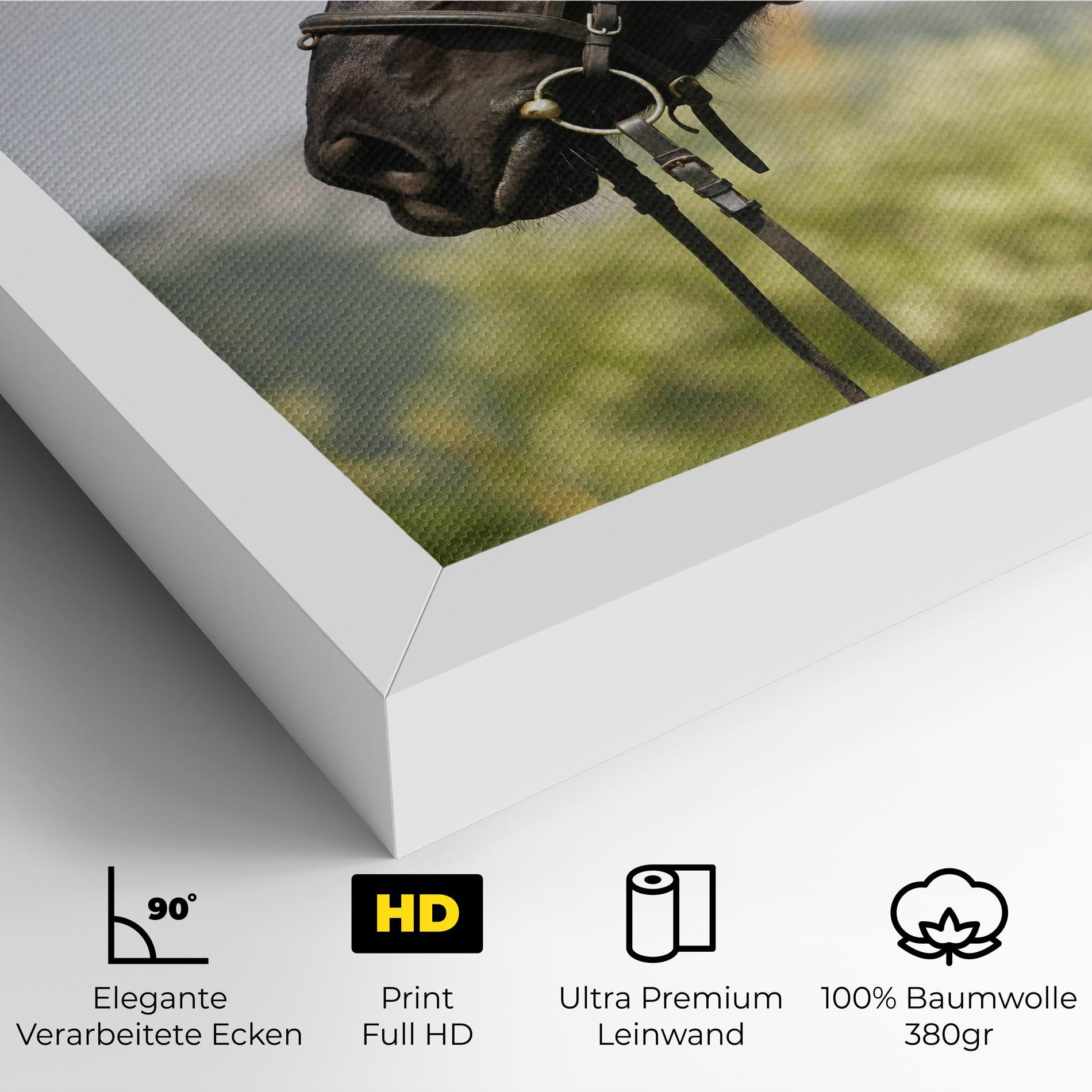 Leinwandbild Big Ear Horse mockup 4