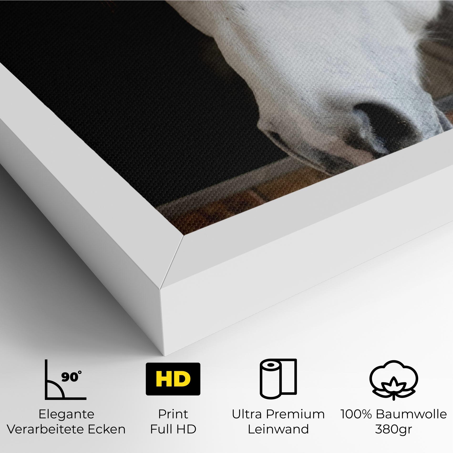 Leinwandbild Grey Horse Head mockup 4