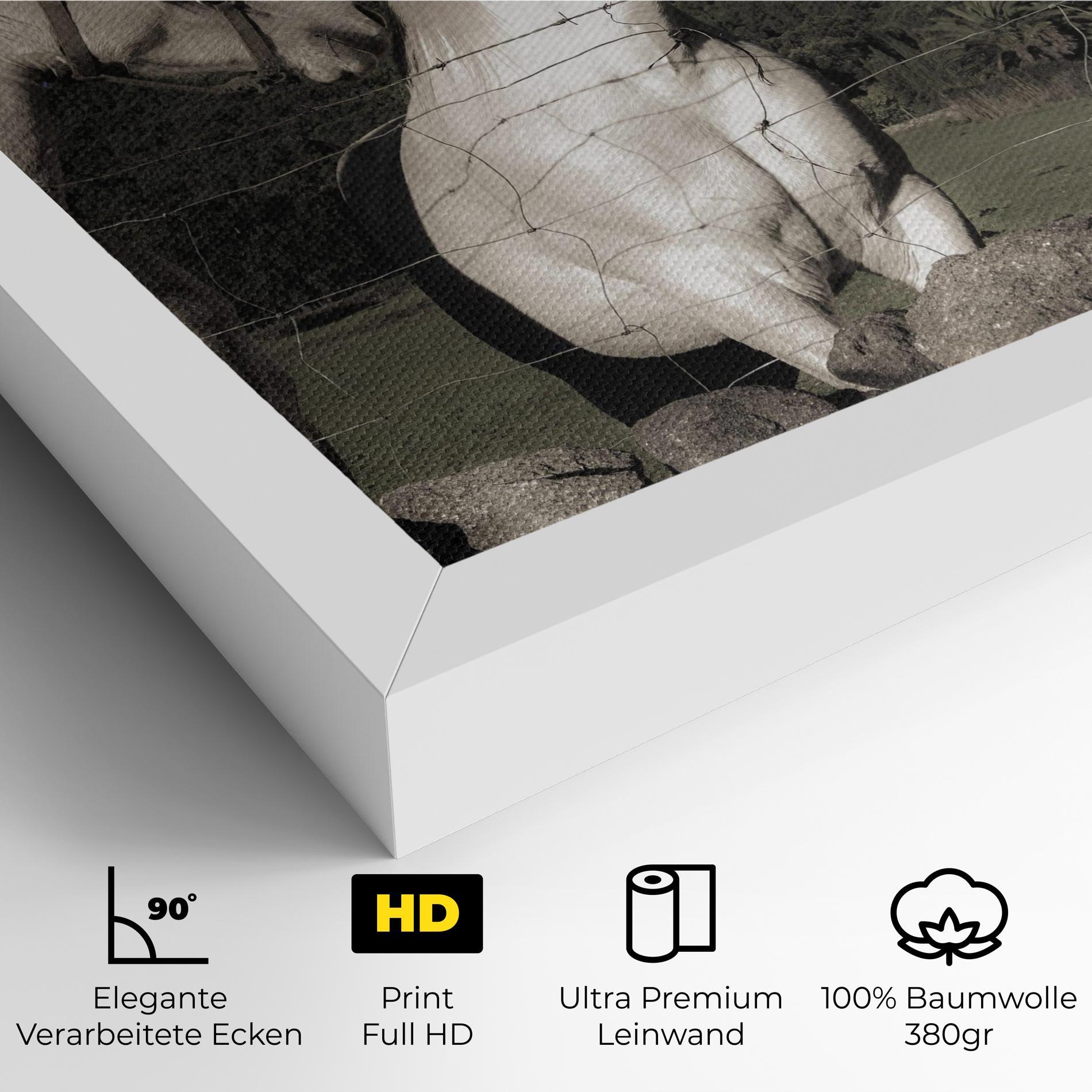 Leinwandbild White Grey Horse mockup 4