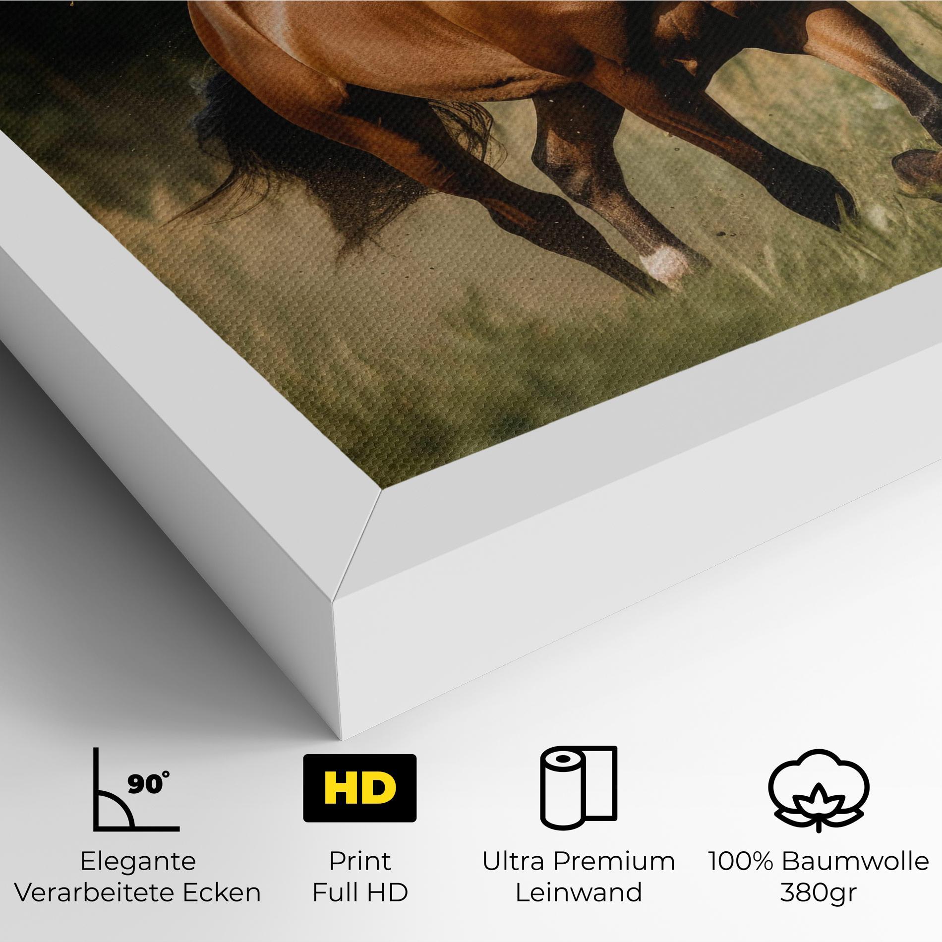 Leinwandbild Wild Horse Running mockup 4