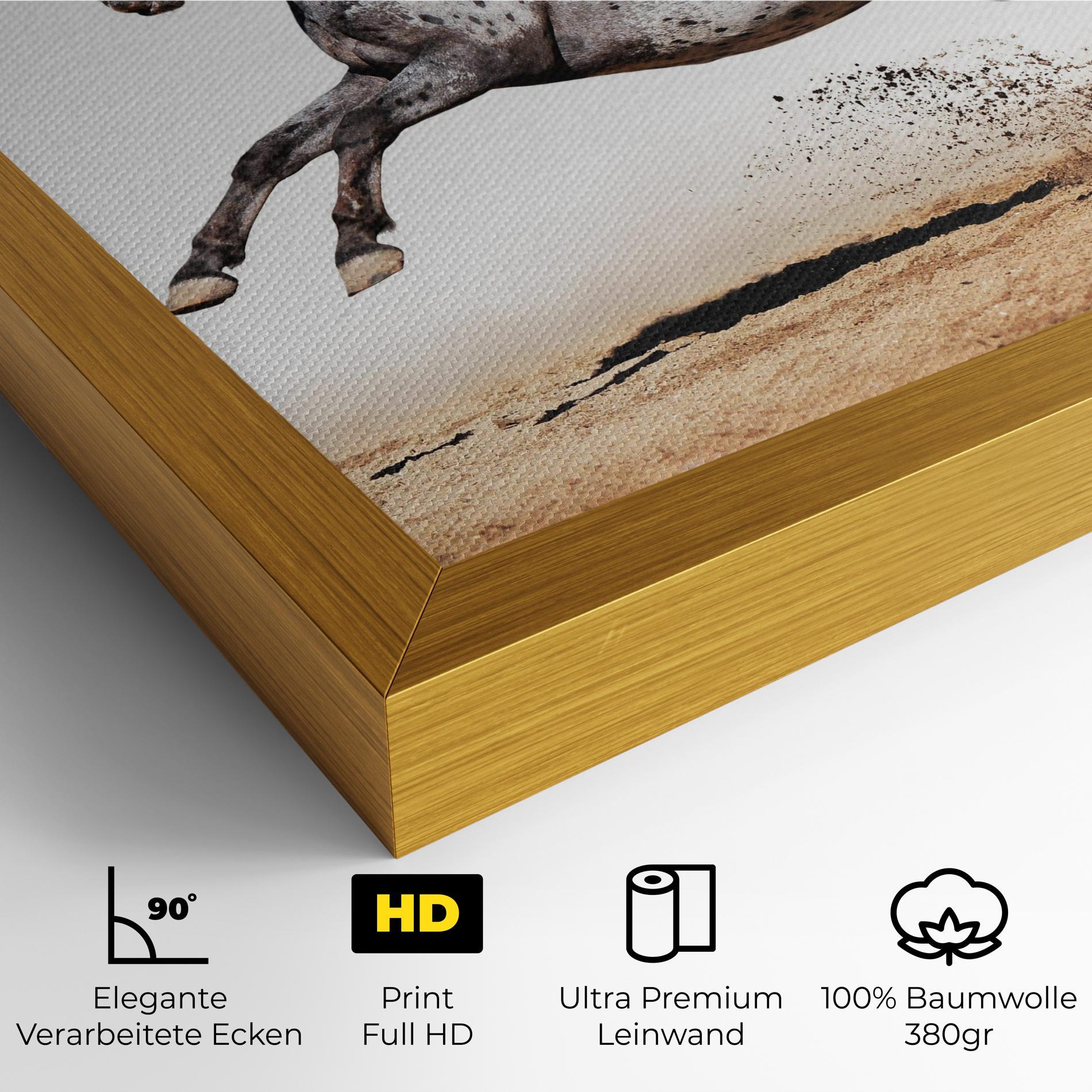 Leinwandbild Appaloosa Horse Running mockup 4