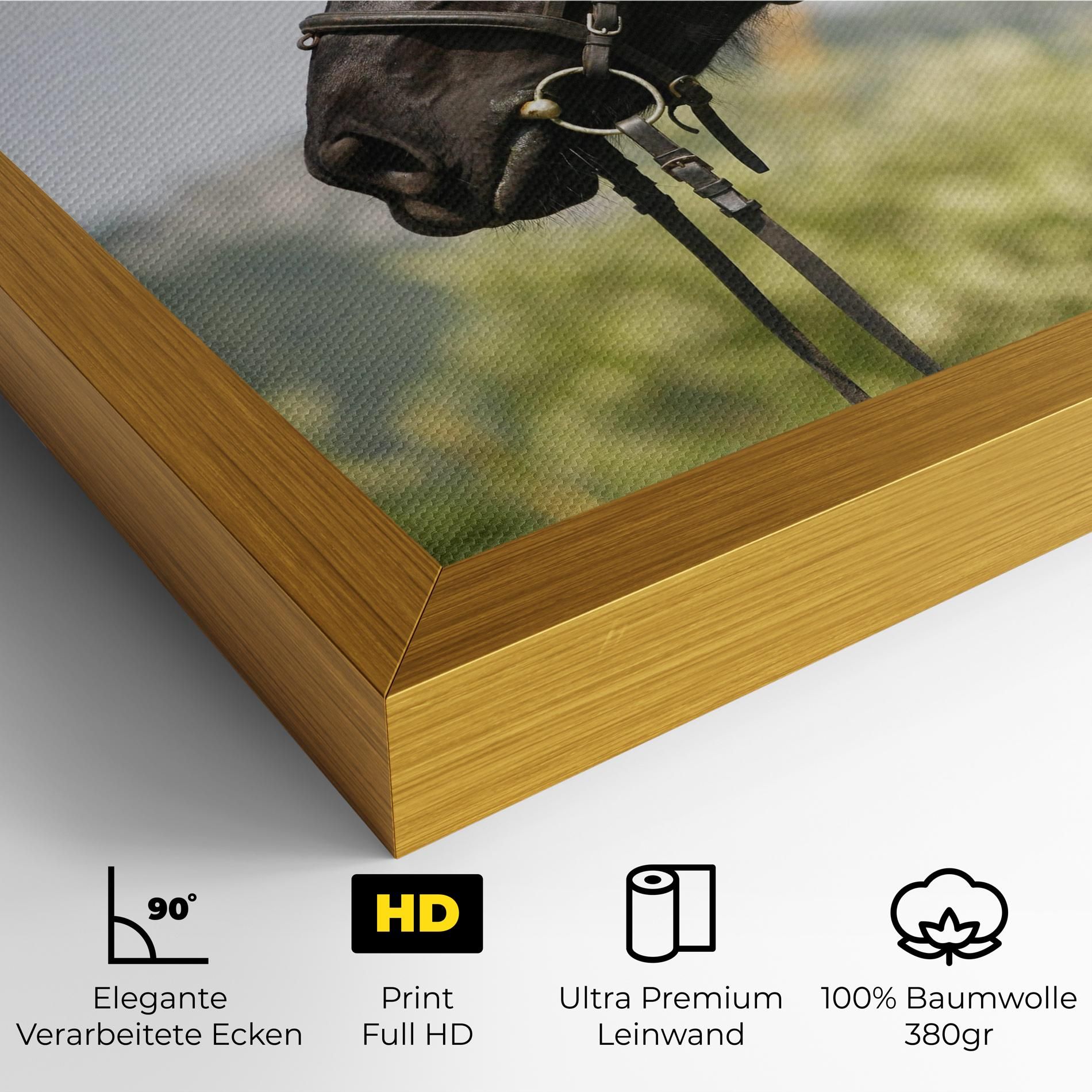 Big Ear Horse mockup 4