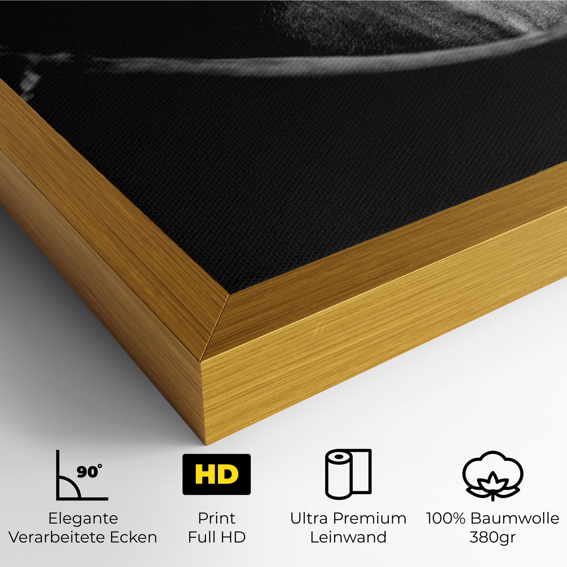 Leinwandbild Black Horse Looking mockup 4